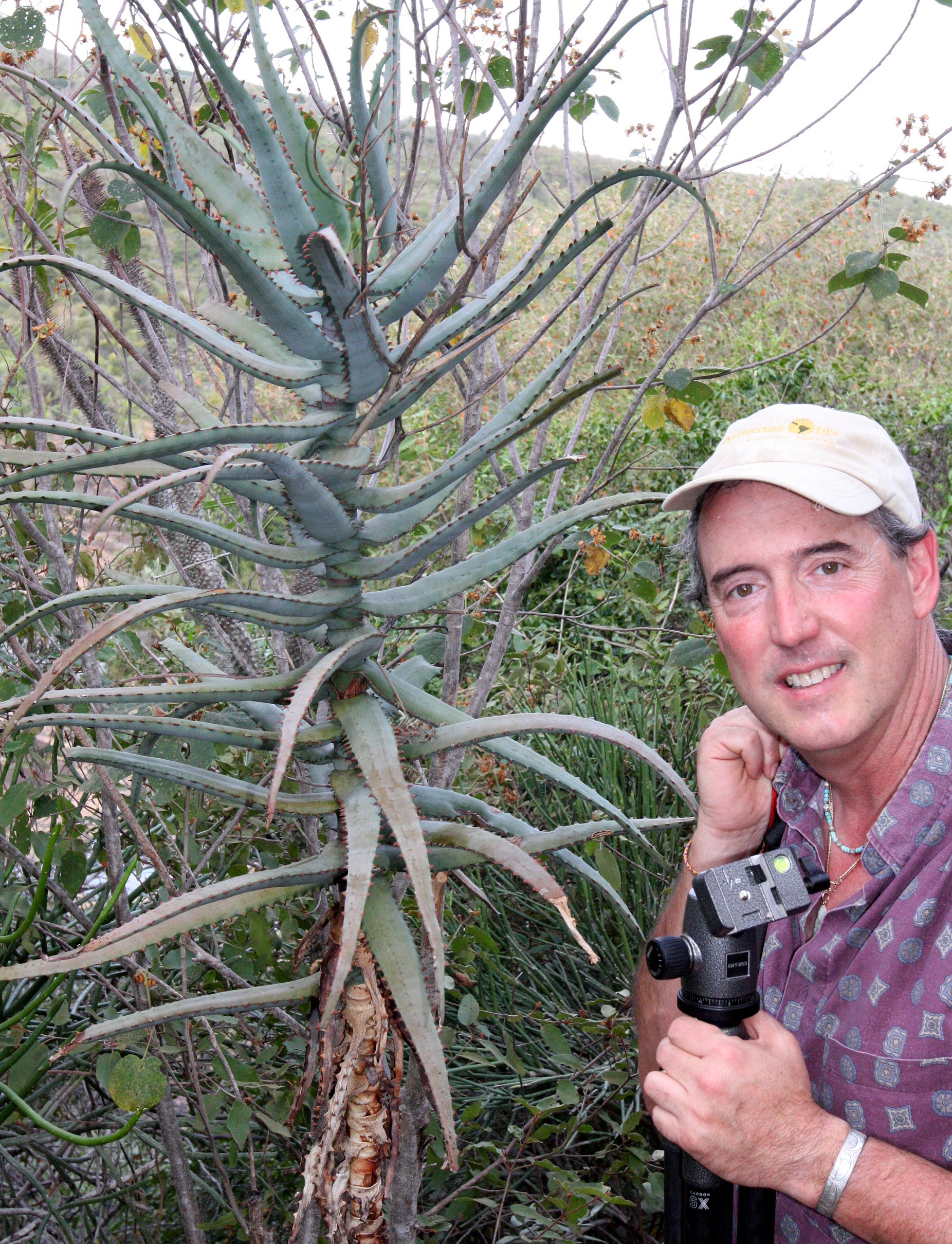 PLANT - ALOE SPECIES - ANDOHAHELA NATIONAL PARK MADGASCAR (24).JPG