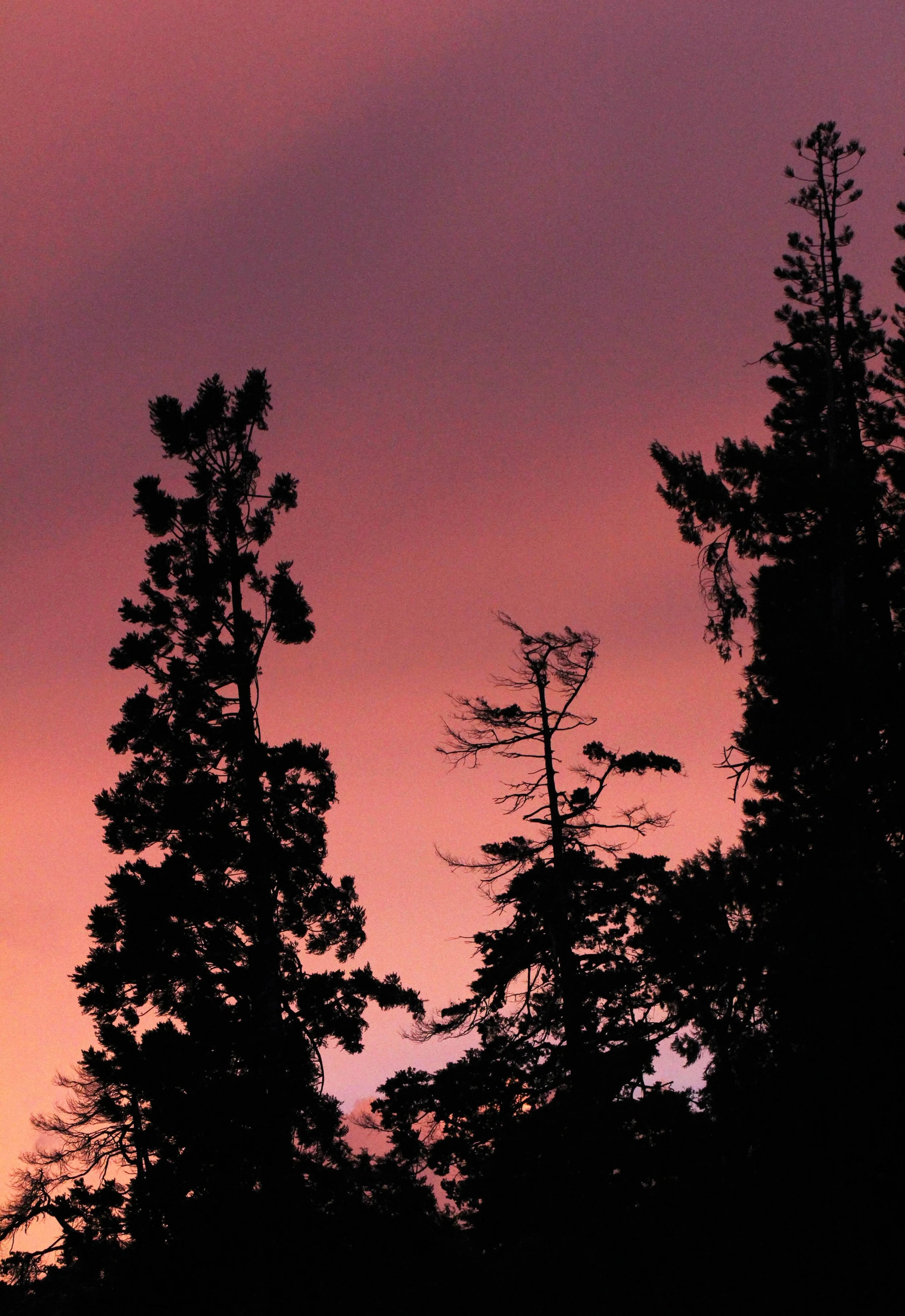 NUWARA ELIYA SRI LANKA (34).JPG