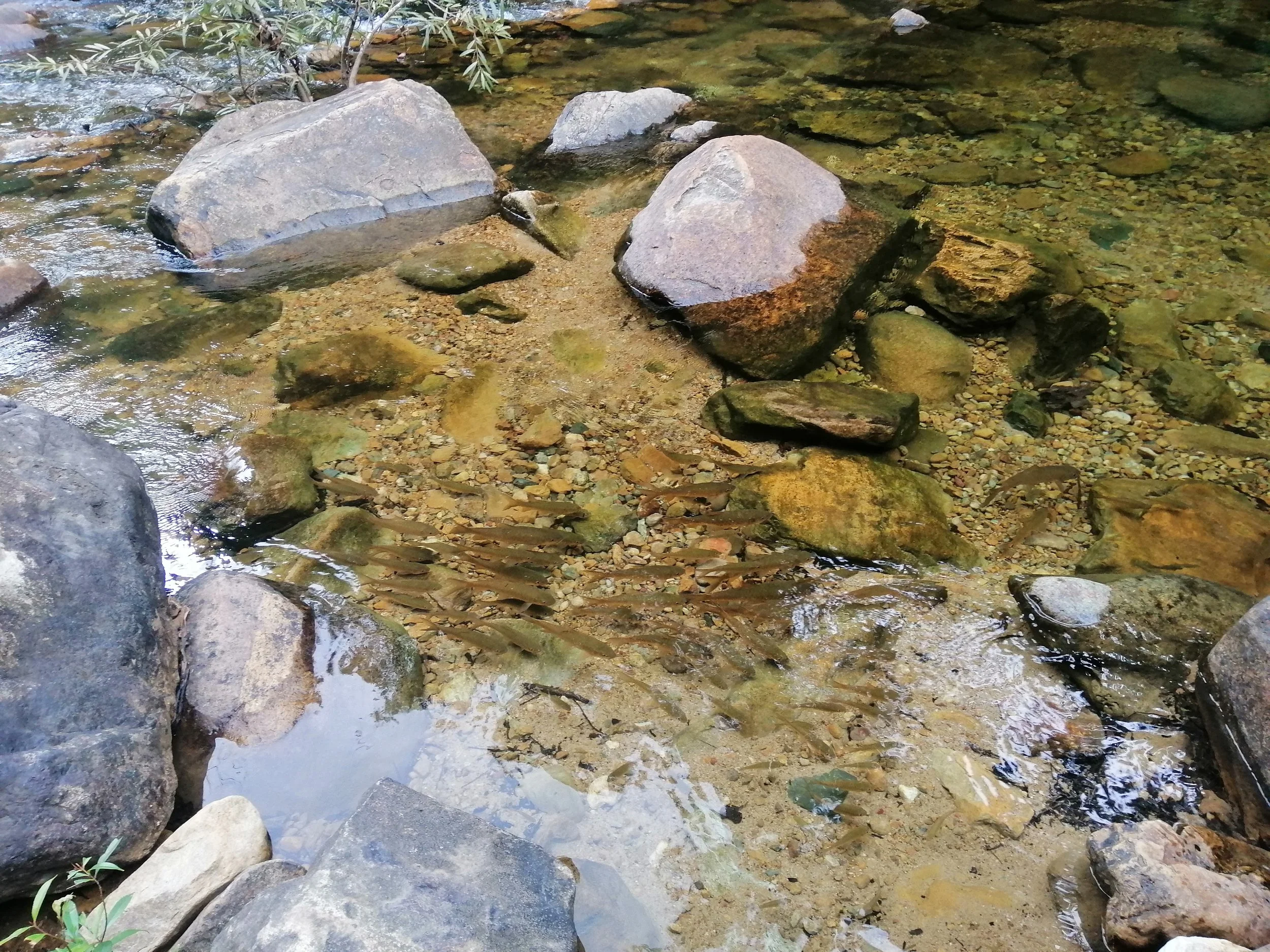 2019 Koh Chang Summer Road Trip (31).jpg