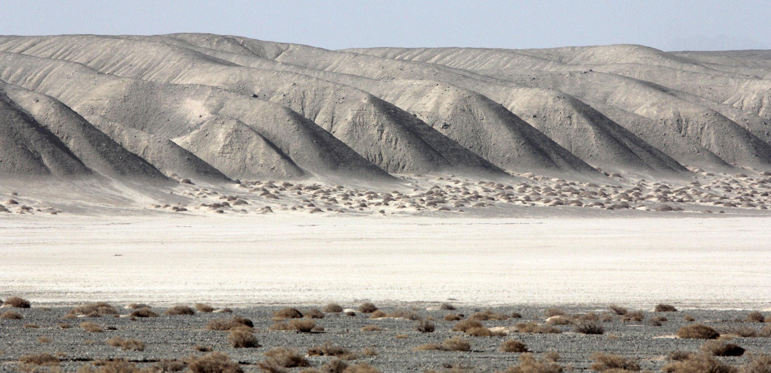 LOP NUR WILD BACTRIAN CAMEL RESERVE - XINJIANG CHINA (151).JPG