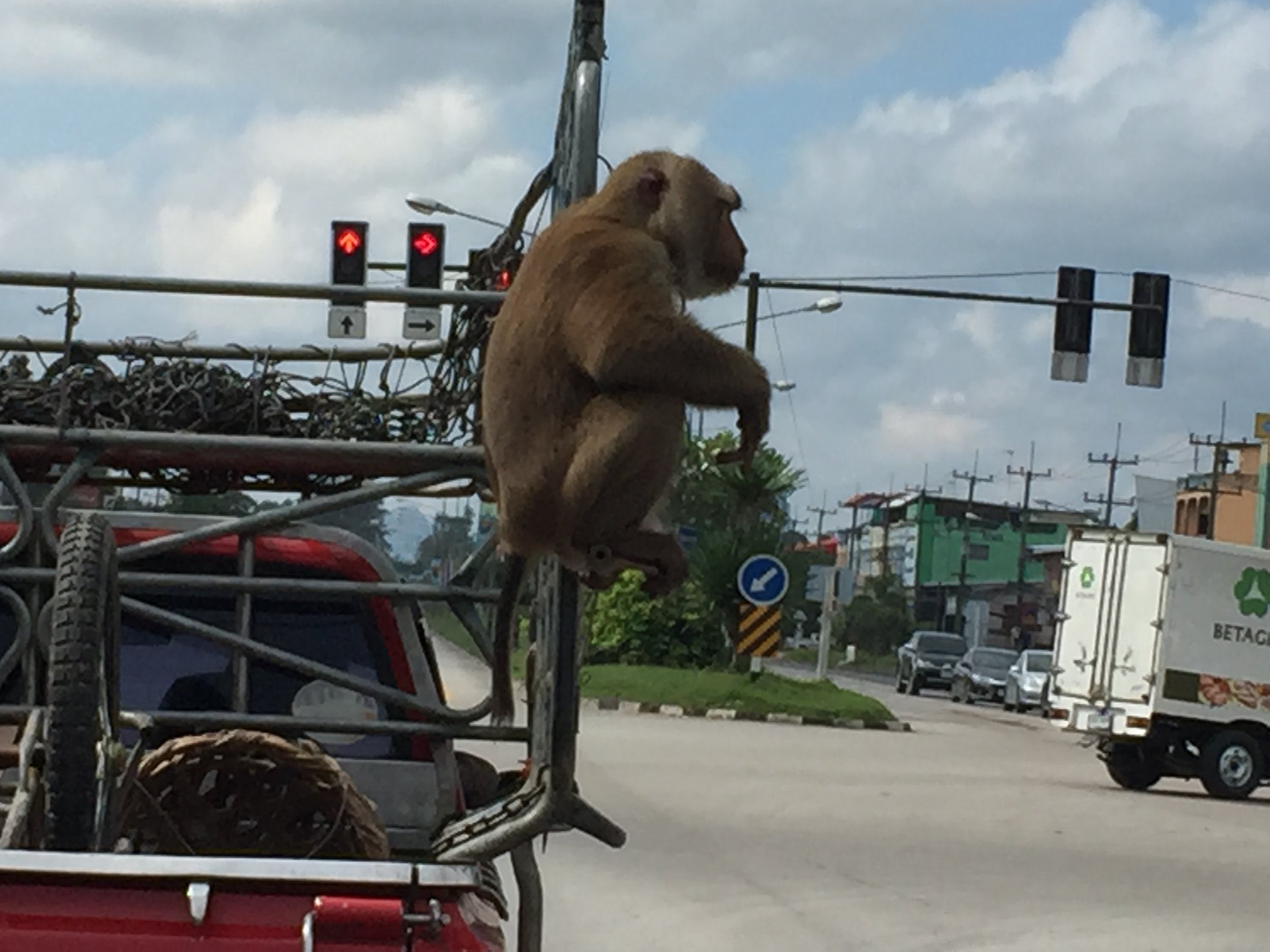 2015 Koh Lanta Road Trip Christmas Break (76).JPG