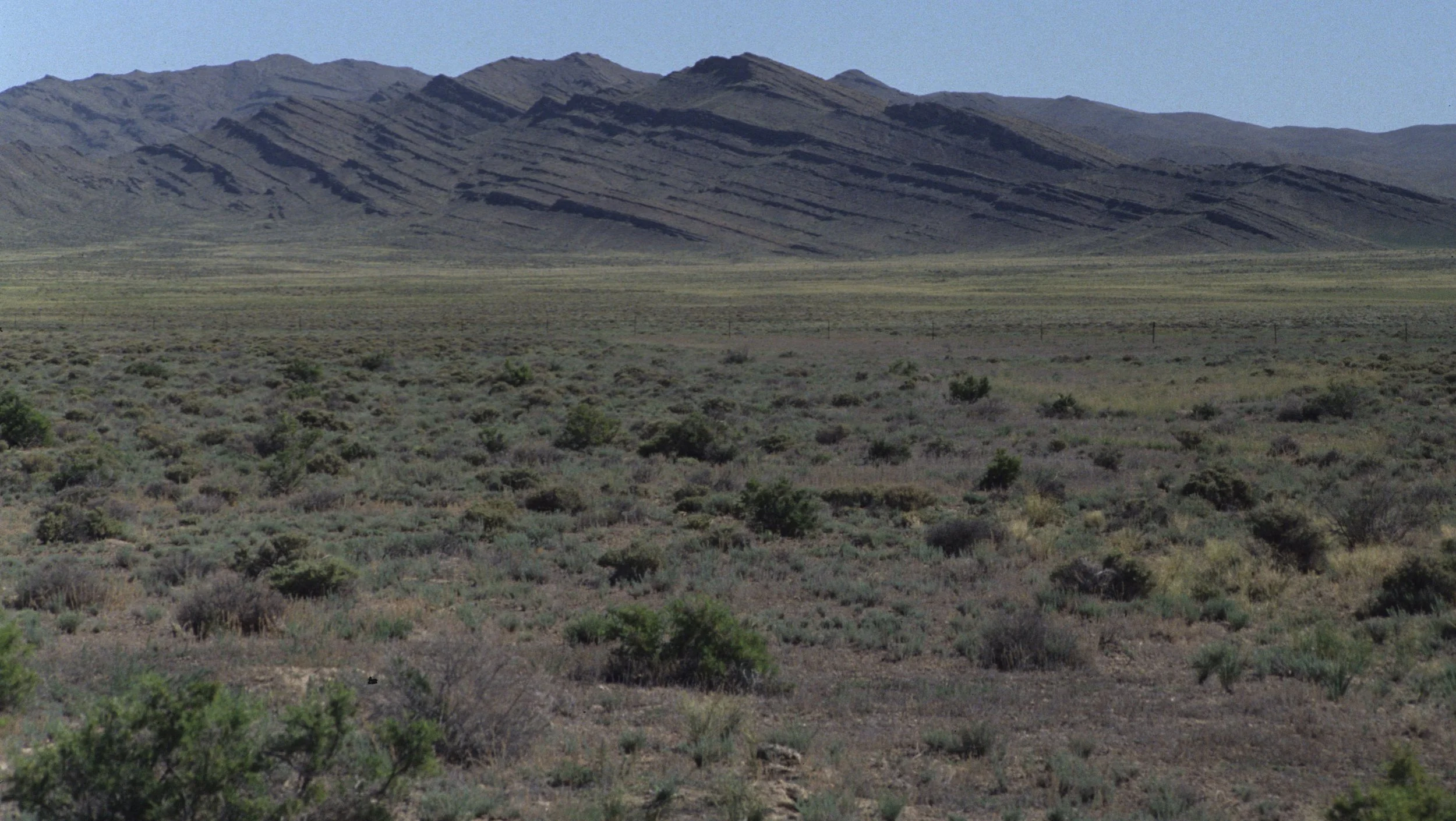 GREAT BASIN NP A.jpg