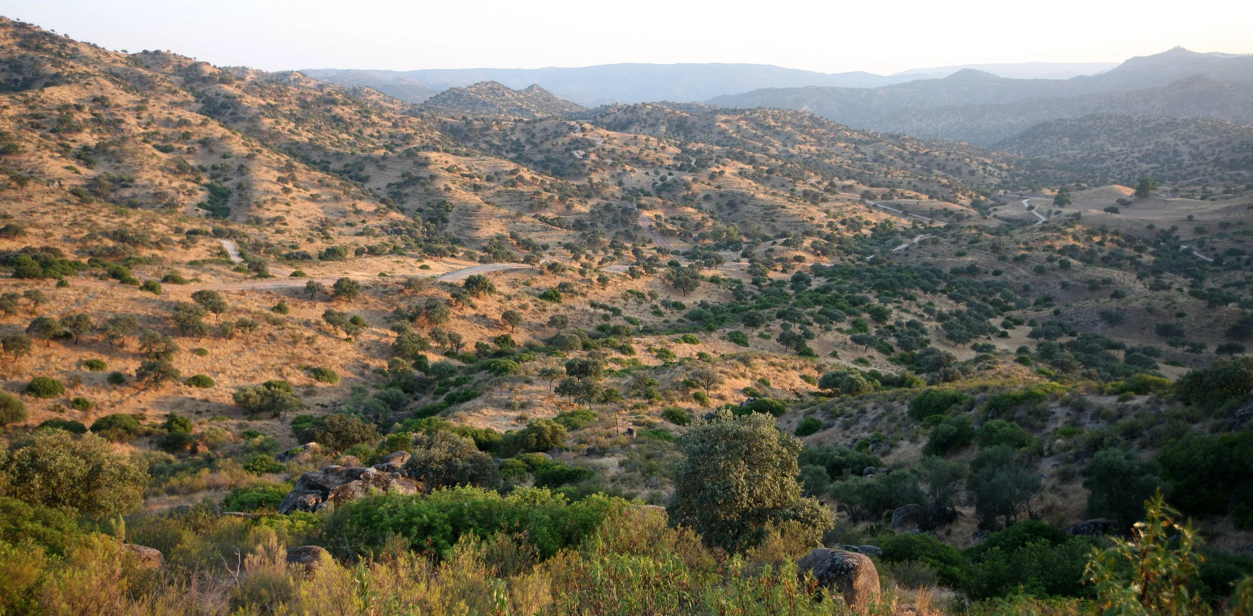SIERRA DE ANDUJAR SPAIN (21).JPG
