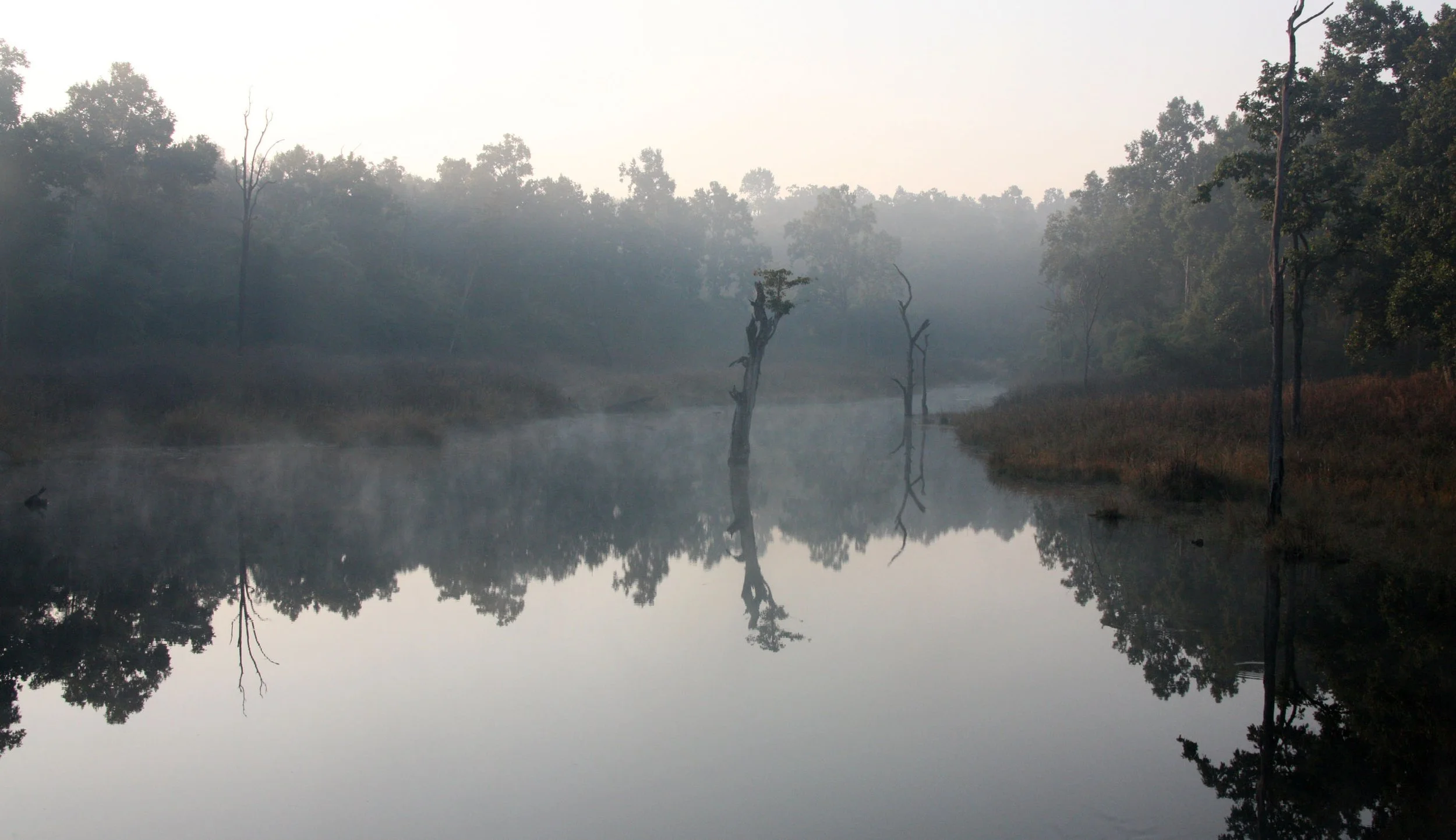 MADHYA PRADESH - KANHA NATIONAL PARK MADHYA PRADESH INDIA (6).JPG