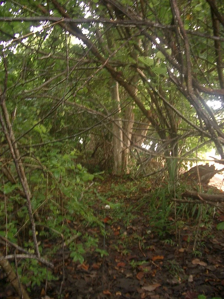 KOH LANTA - PROPERTY - 2004 (9).JPG