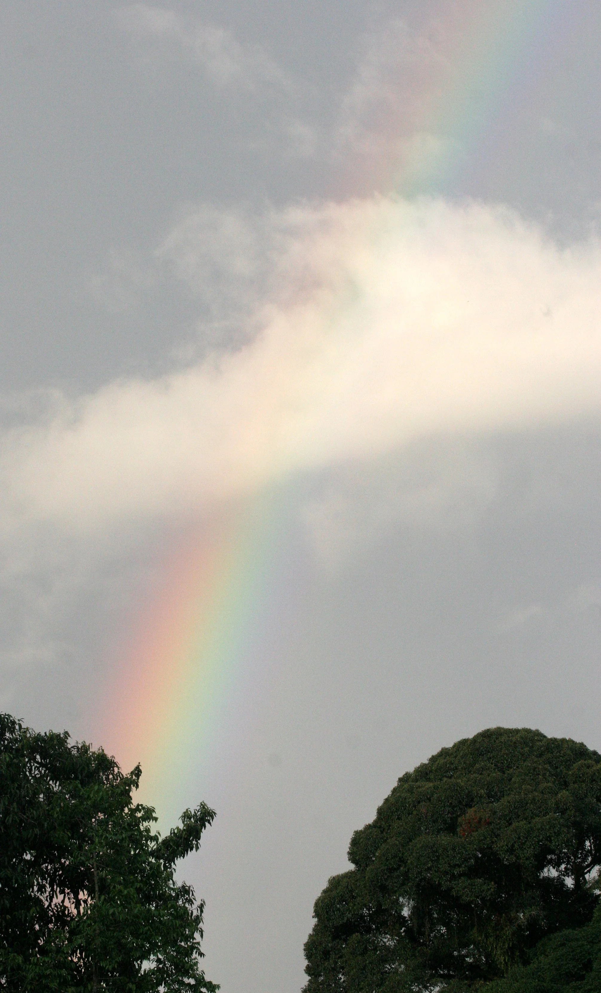 DANUM VALLEY BORNEO - RAINBOW (2).JPG