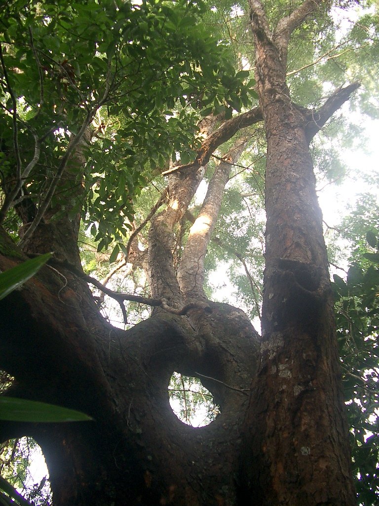 KOH LANTA - PROPERTY - 2004 (66).JPG