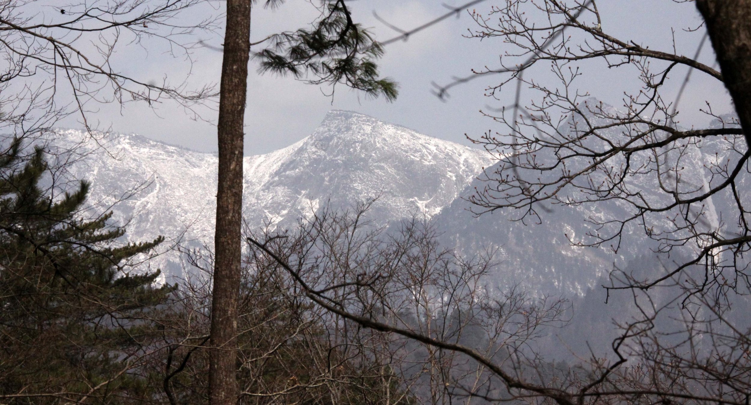 FOPING NATURE RESERVE - SHAANXI PROVINCE CHINA (231).JPG
