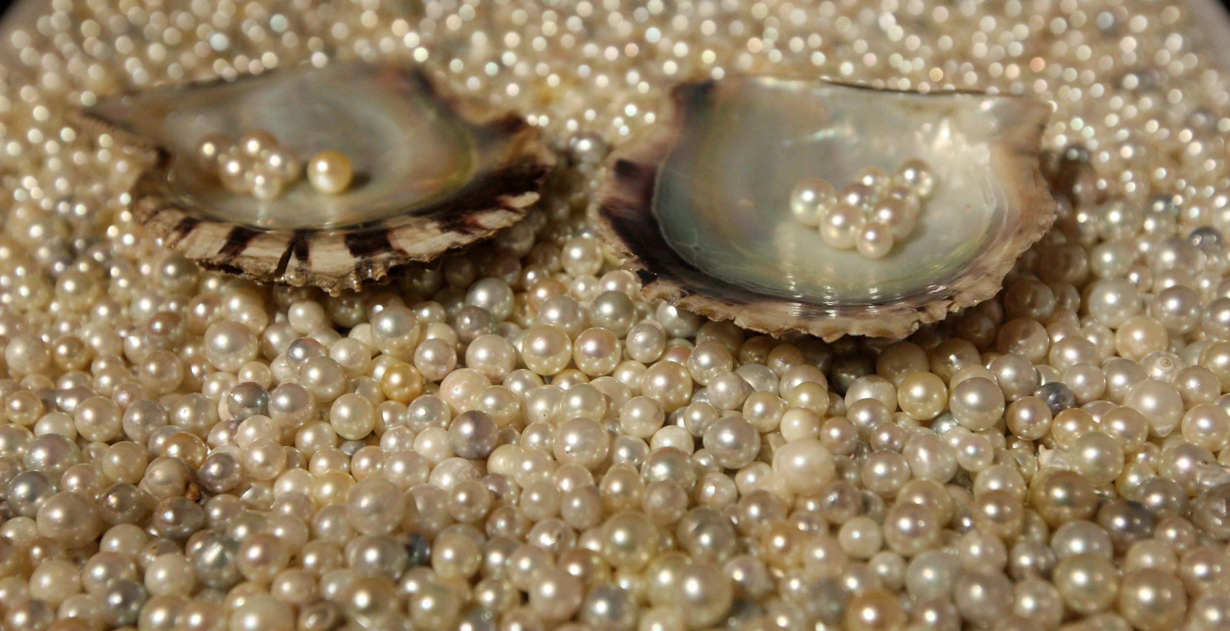 MIKIMOTO PEARL ISLAND AND MUSEUM - TOBA JAPAN (22).JPG