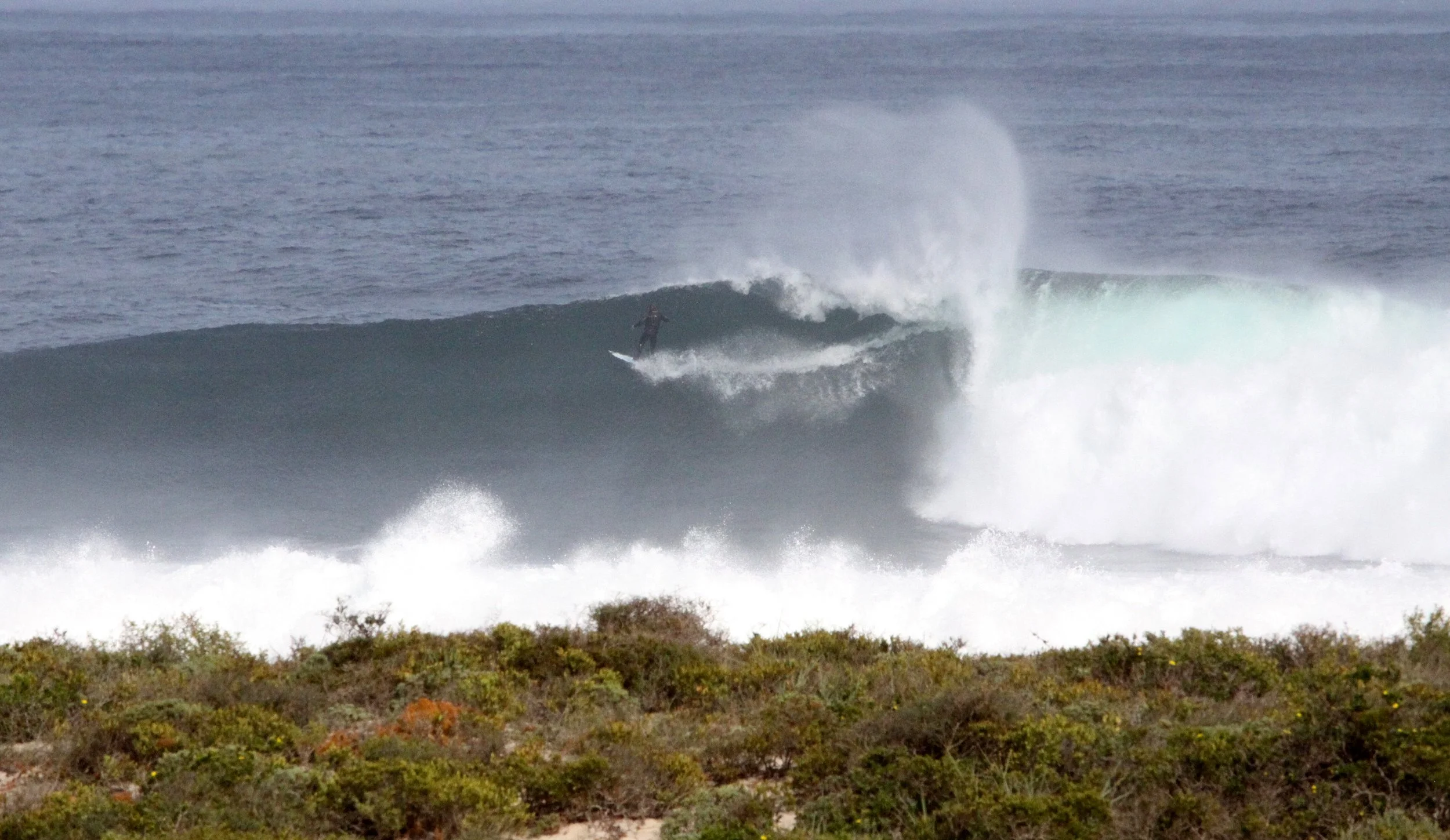 LAMBERT'S BAY SOUTH AFRICA - SURF'S UP! (27).JPG
