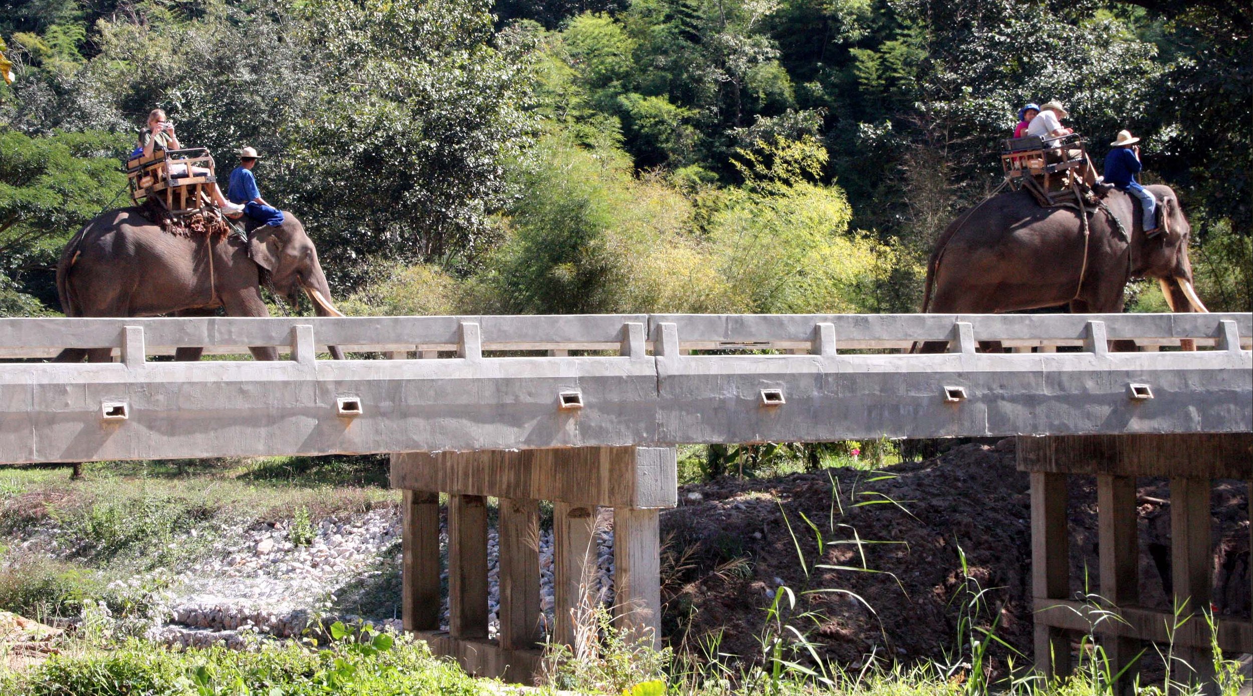 2008 Lampang City & Elephant Center (35).JPG