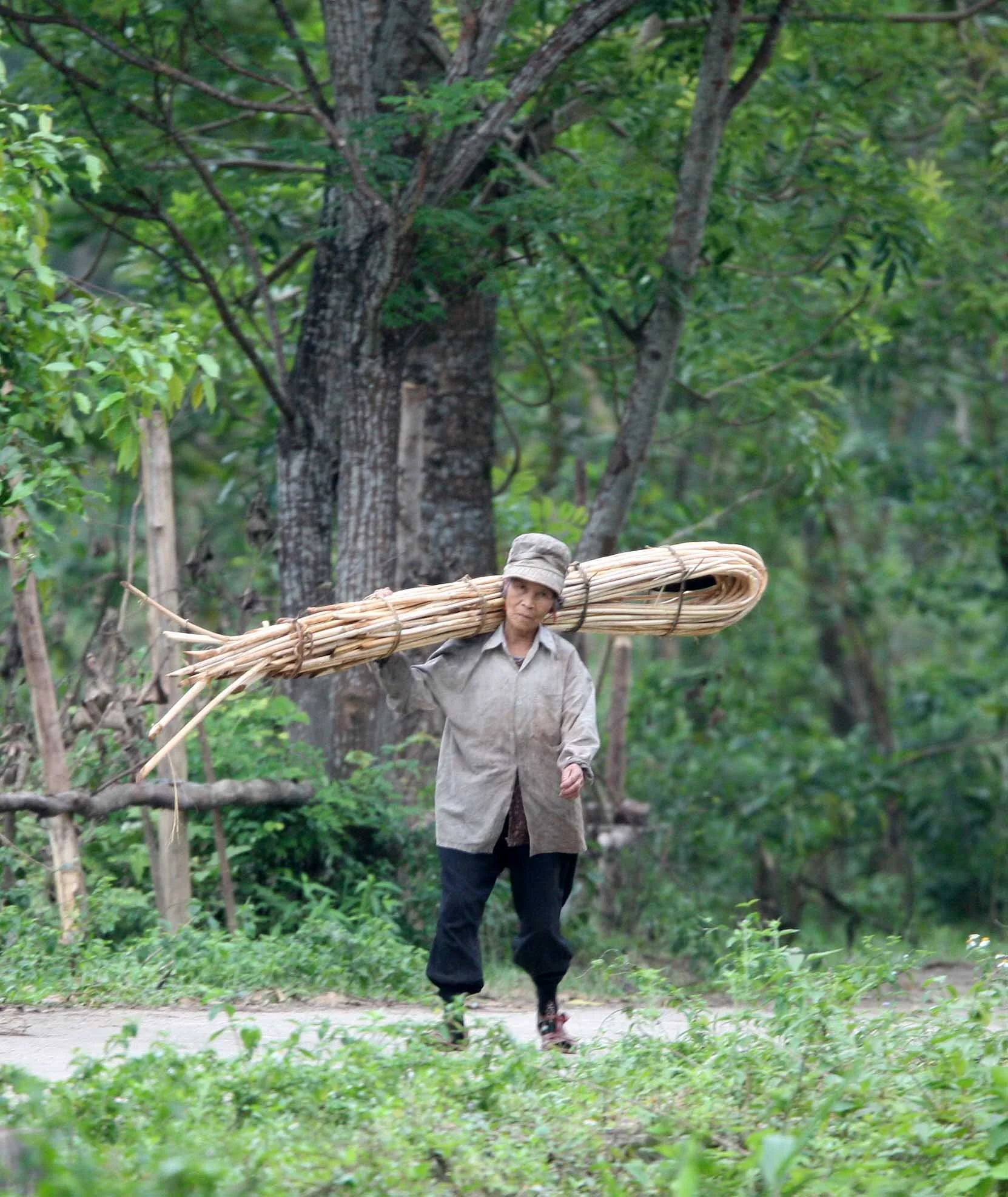 BACH MA NATIONAL PARK AND VICINIT VIET NAM (10).JPG