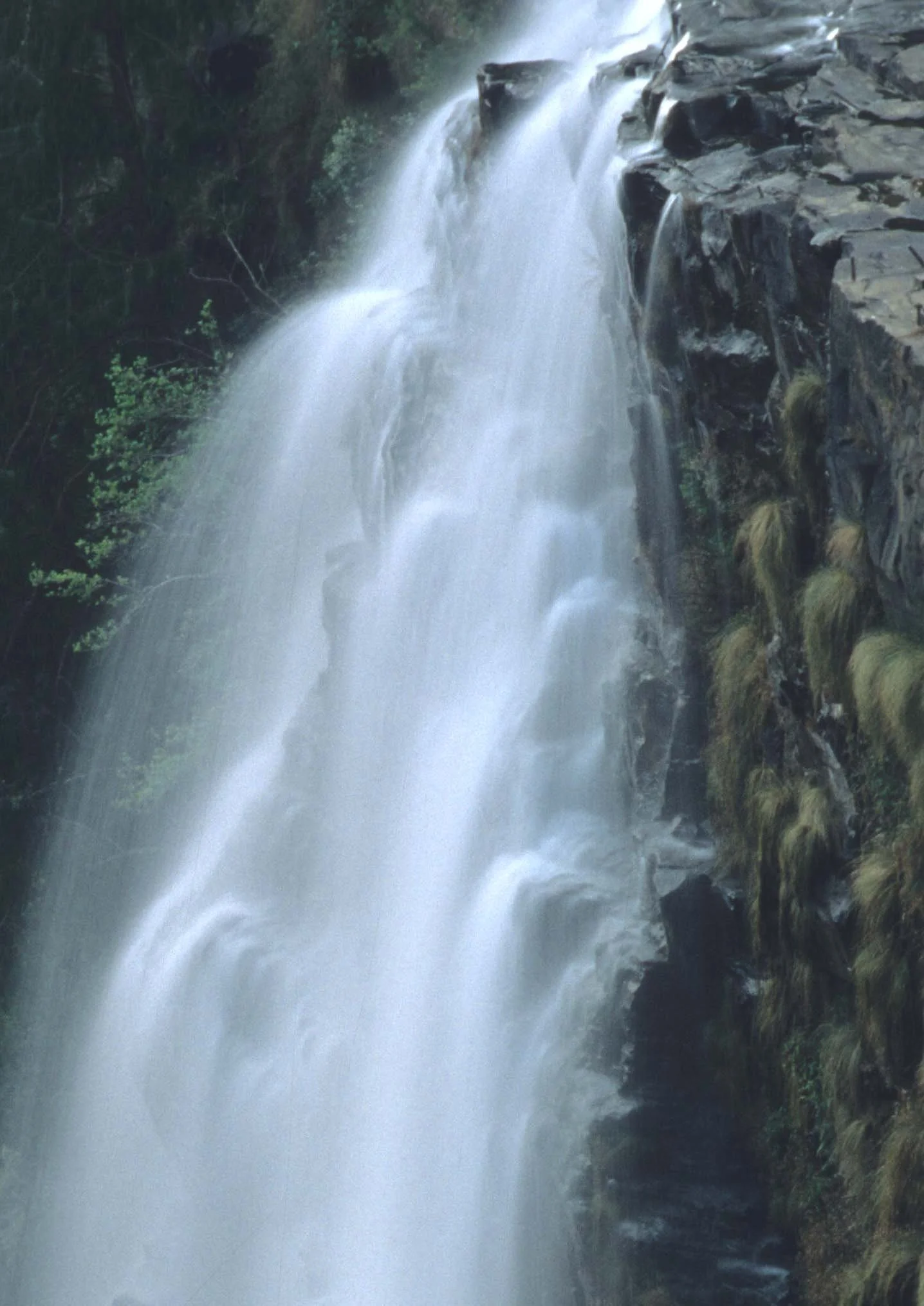 KRUGER - MAC MAC FALLS A.jpg