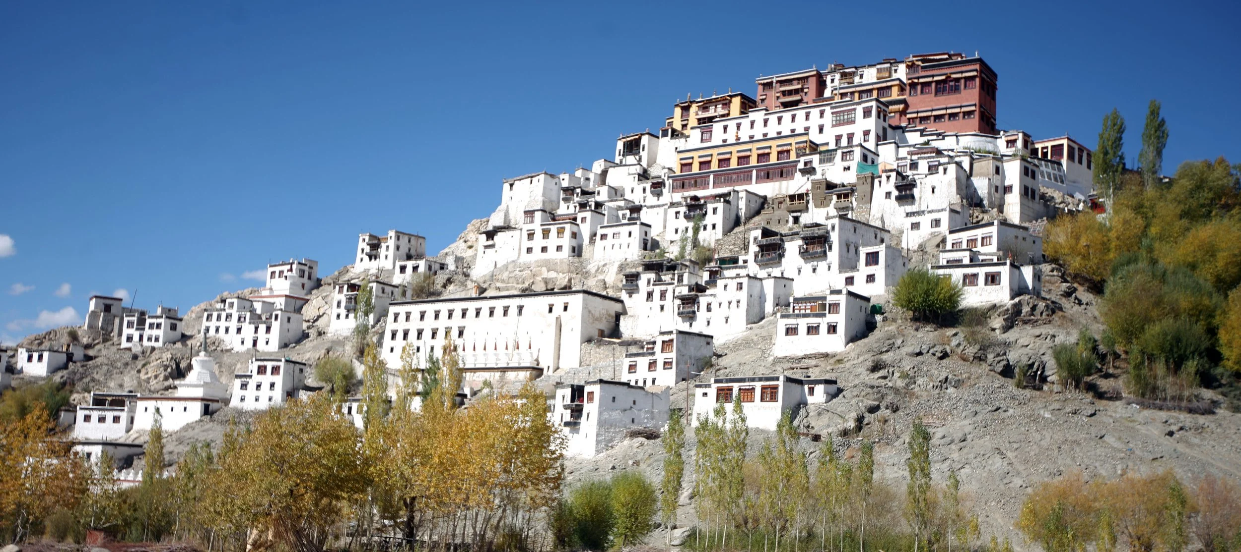 LEH - THIKSEY MONASTERY - LADAKH INDIA - SNOW LEOPARD TRIP 2013 (24).JPG