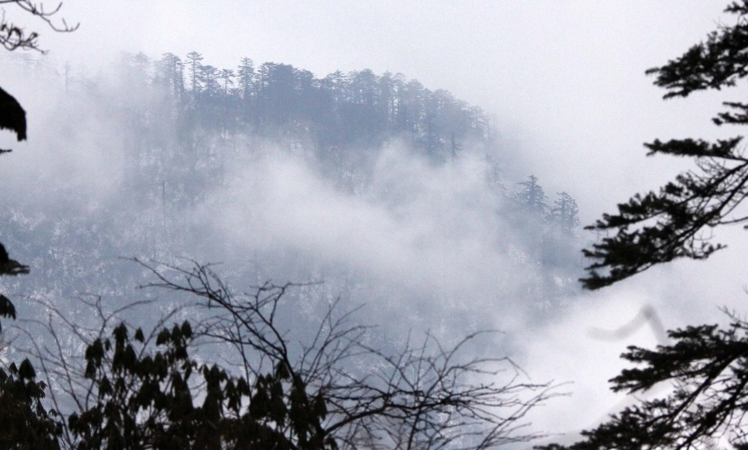 WAWU SHAN GEOPARK - SICHUAN CHINA (33).JPG