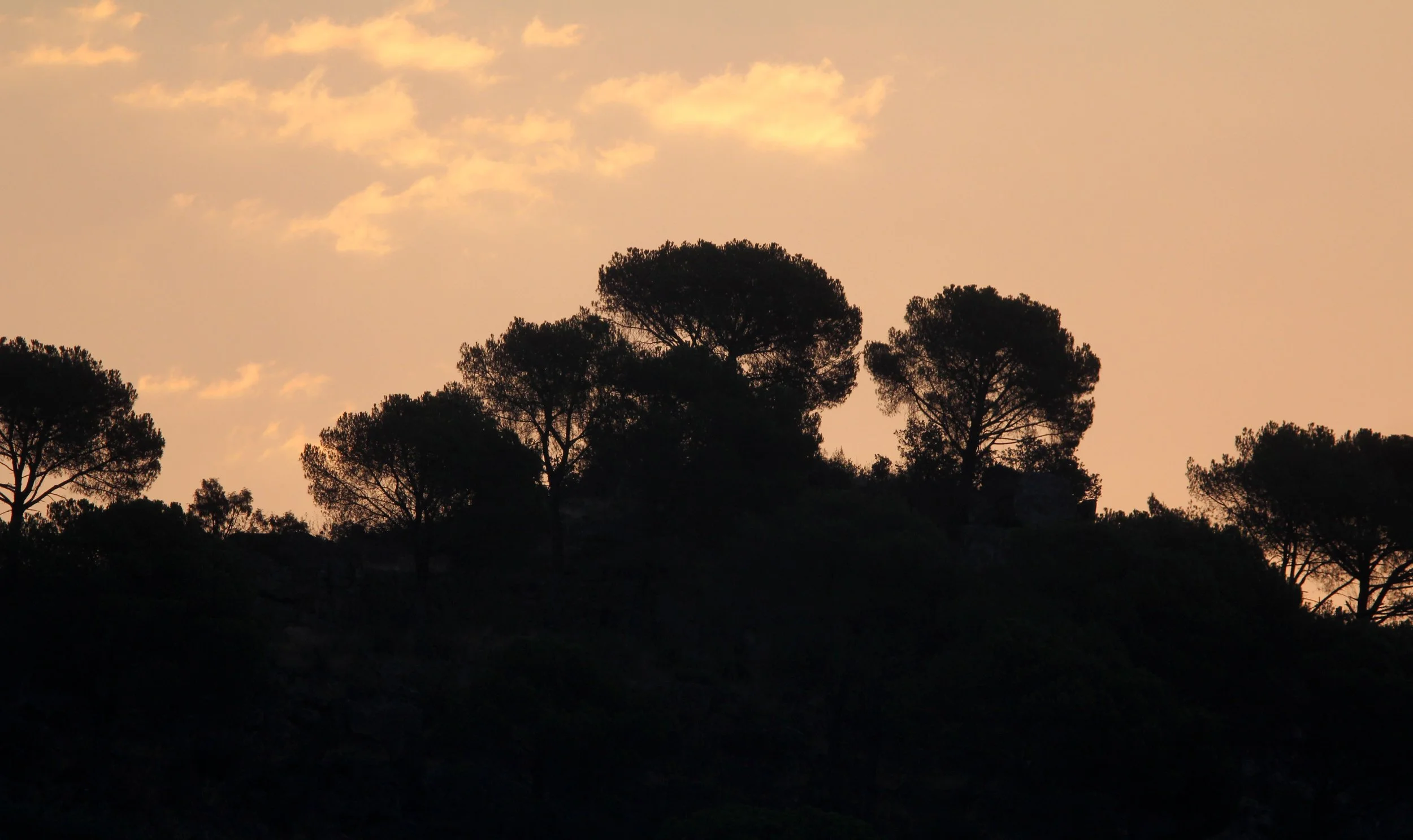 SIERRA DE ANDUJAR SPAIN (8).JPG