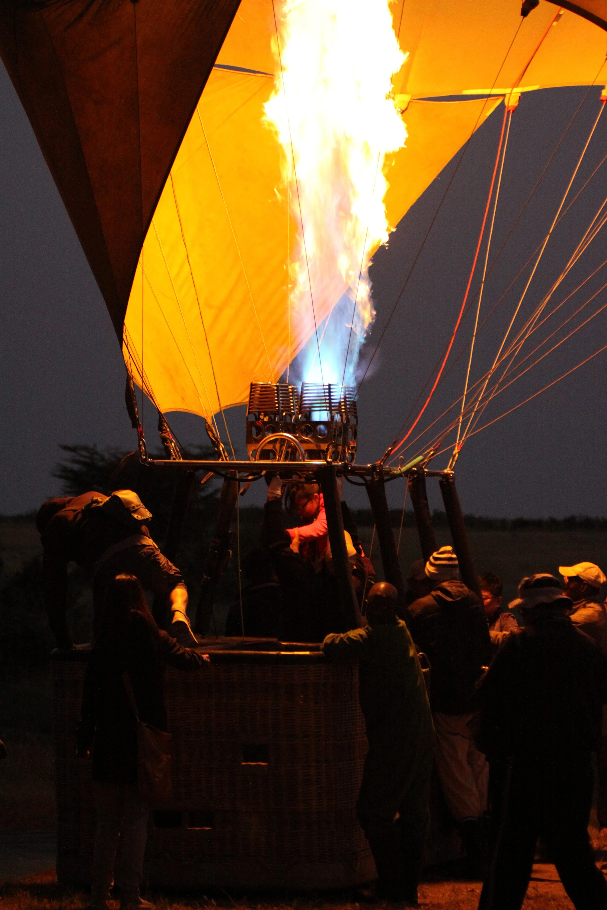 MASAI MARA NATIONAL PARK KENYA (223).JPG