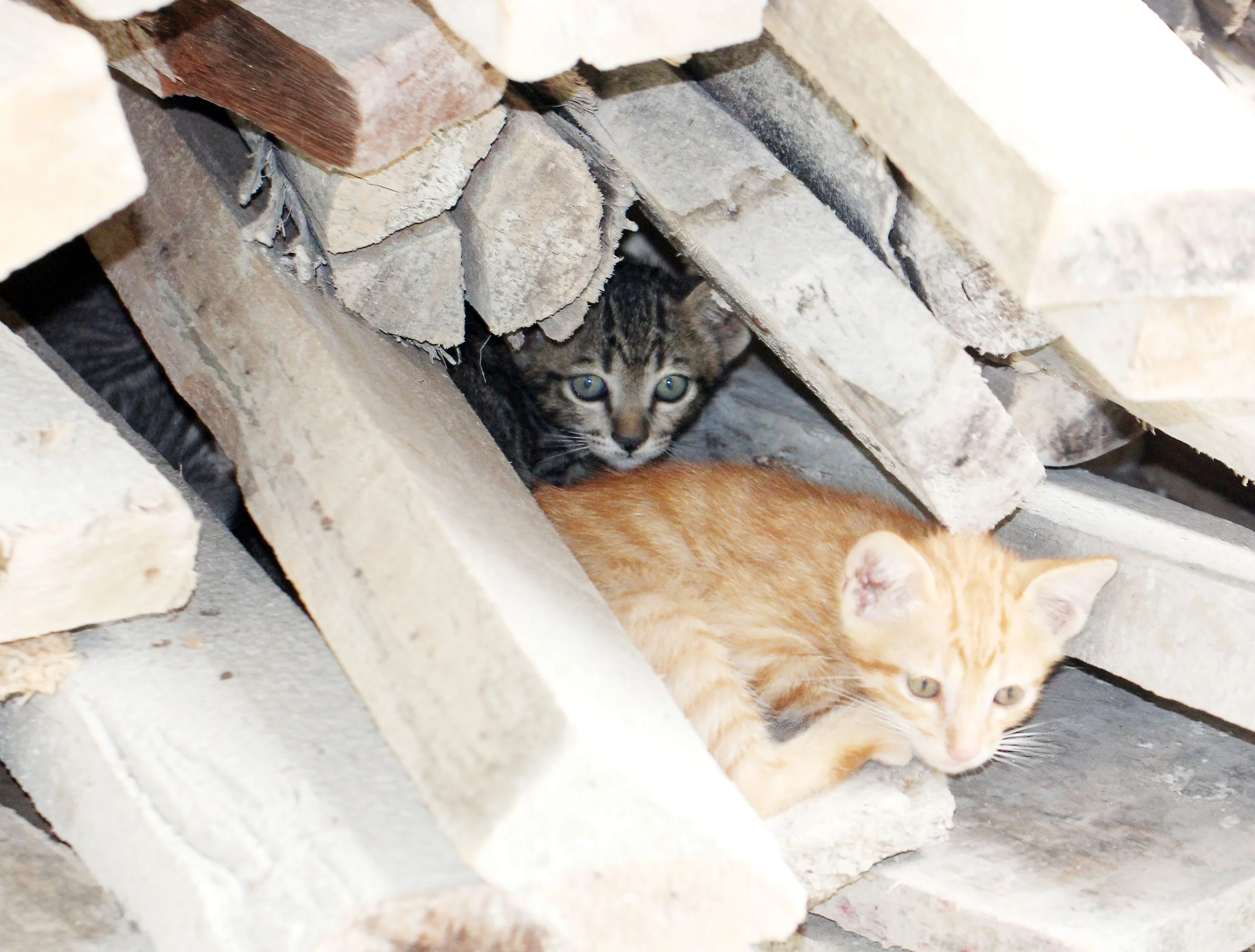 2015 Koh Lanta October Break Trip  (216).JPG