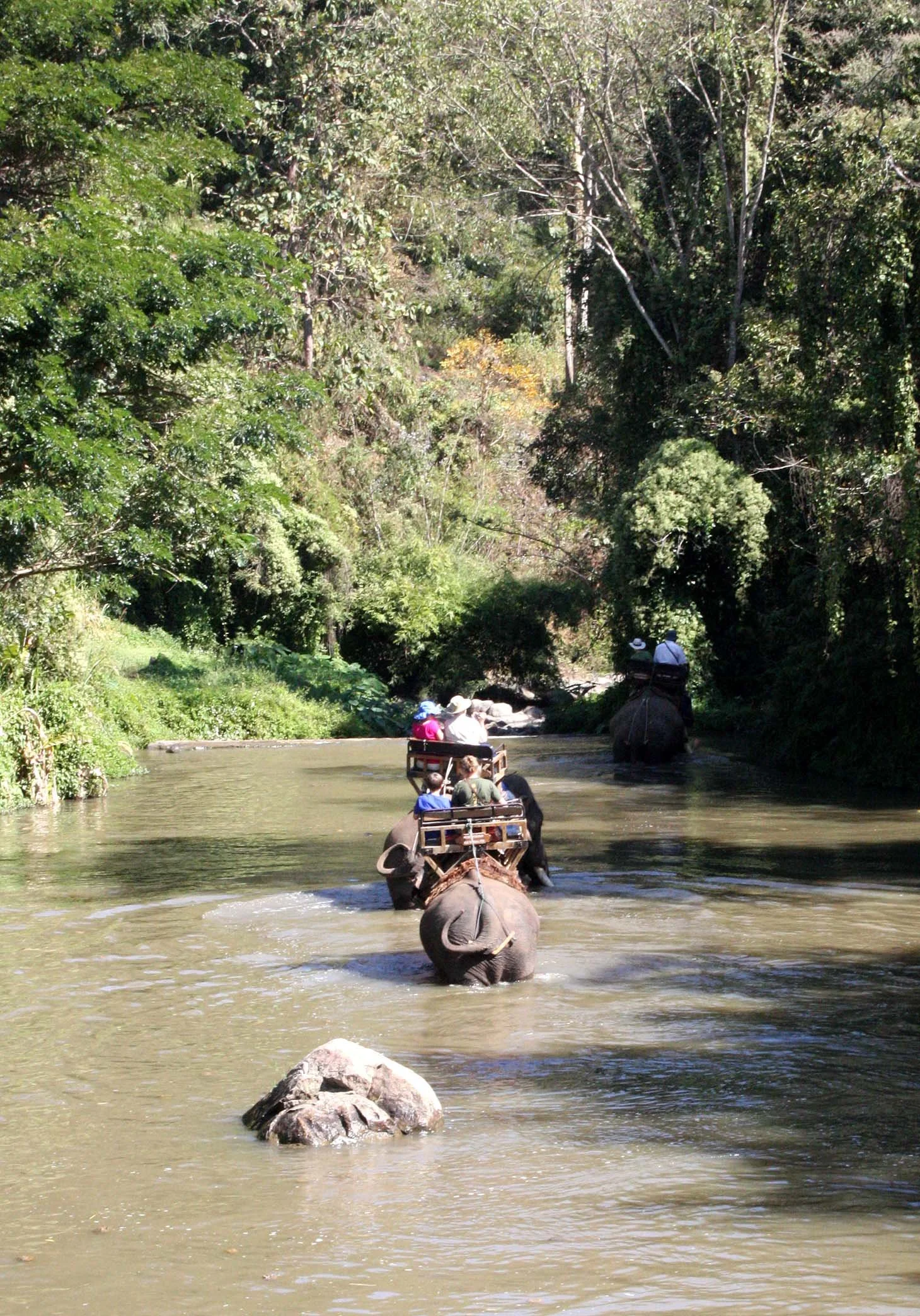 2008 Lampang City & Elephant Center (25).JPG