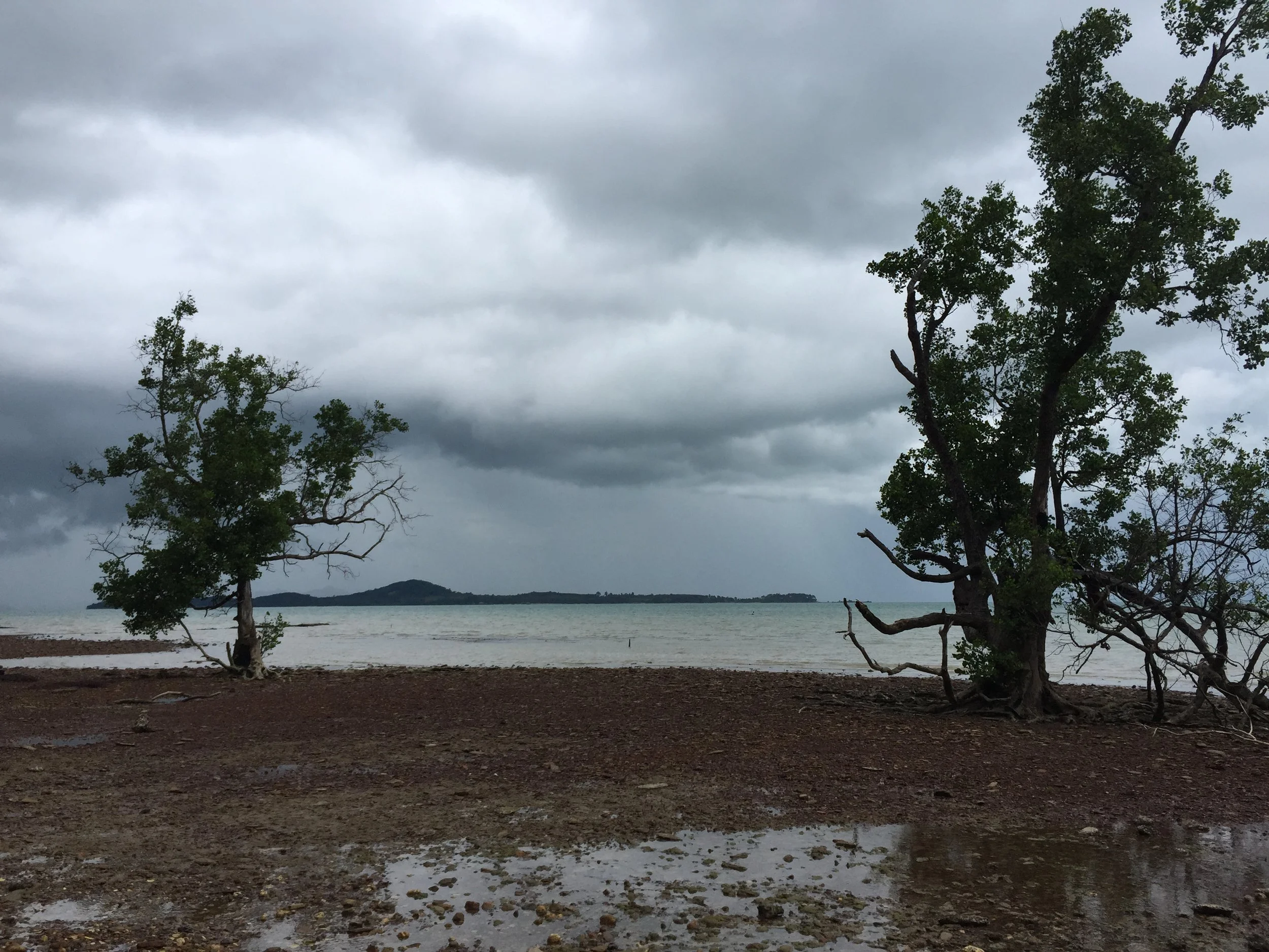 2015 Koh Lanta Garden & Nature (205).JPG