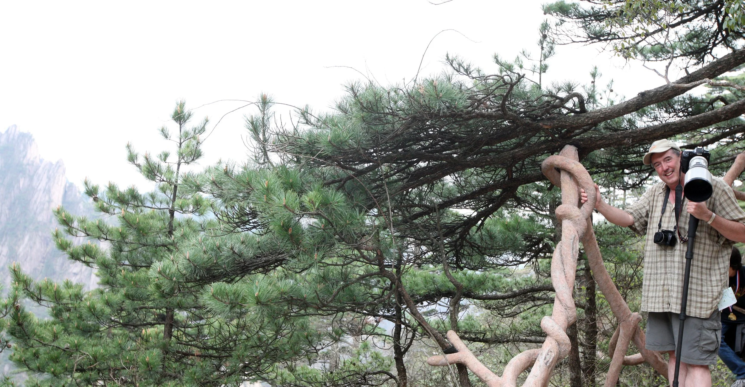 HUANGSHAN NATIONAL PARK ANHUI PROVINCE CHINA (155).JPG