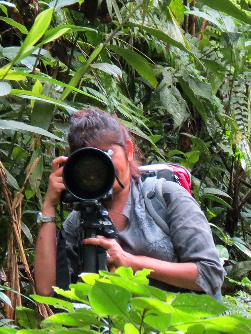 HALIMUN  NATIONAL PARK - JAVA BARAT INDONESIA (14).JPG