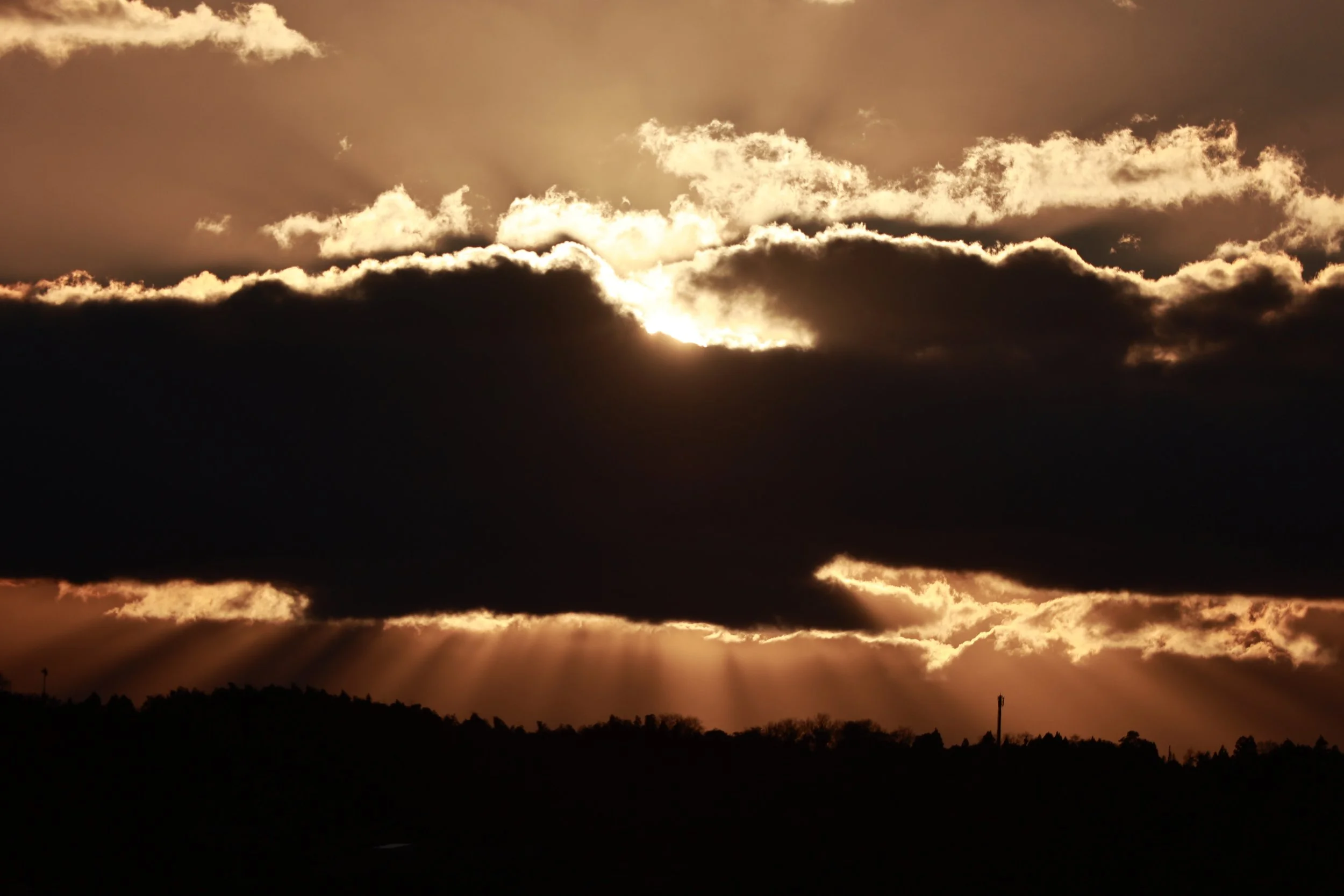 Izumi Crane Park & Center, Izumi Kagoshima Kyushu Japan (36).jpg