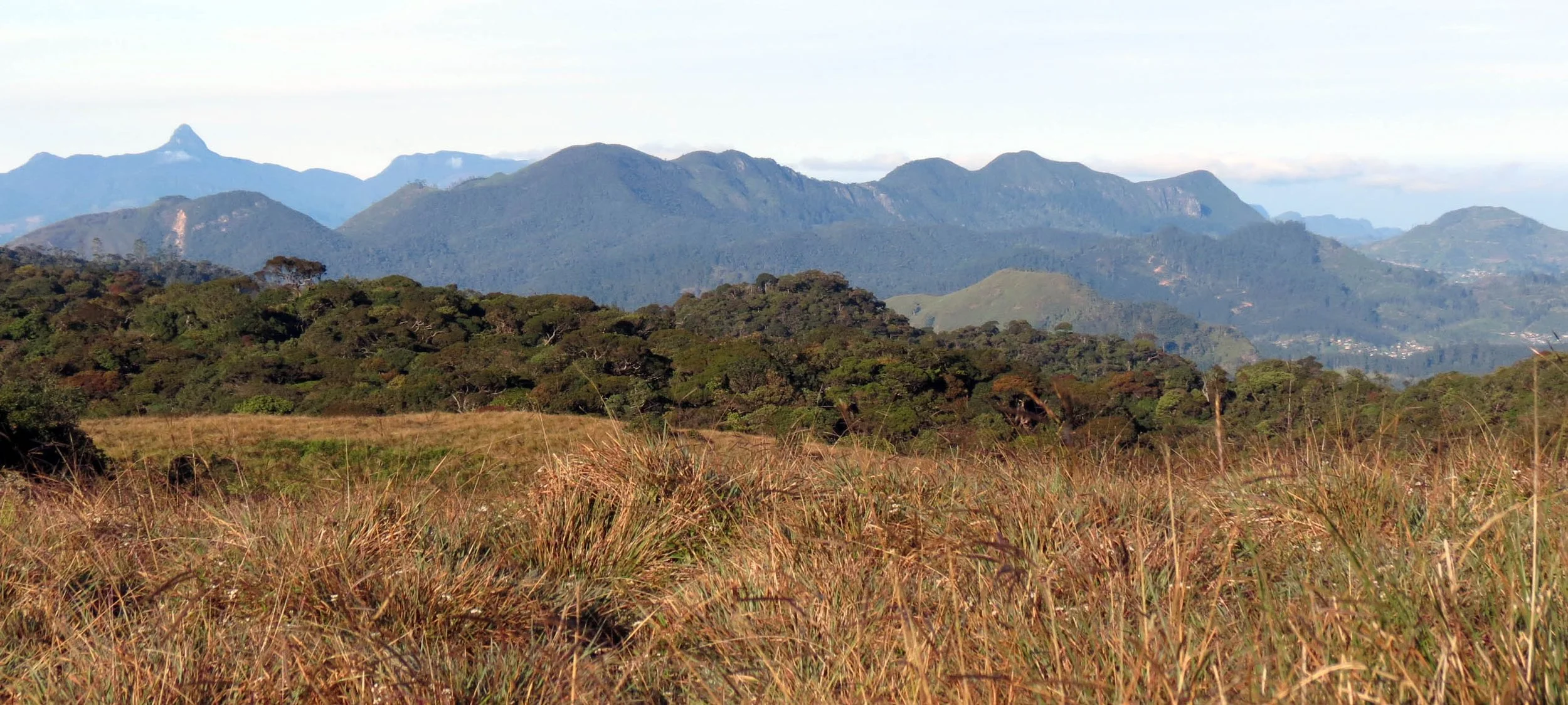 HORTON PLAIN NATIONAL PARK SRI LANKA (11).JPG