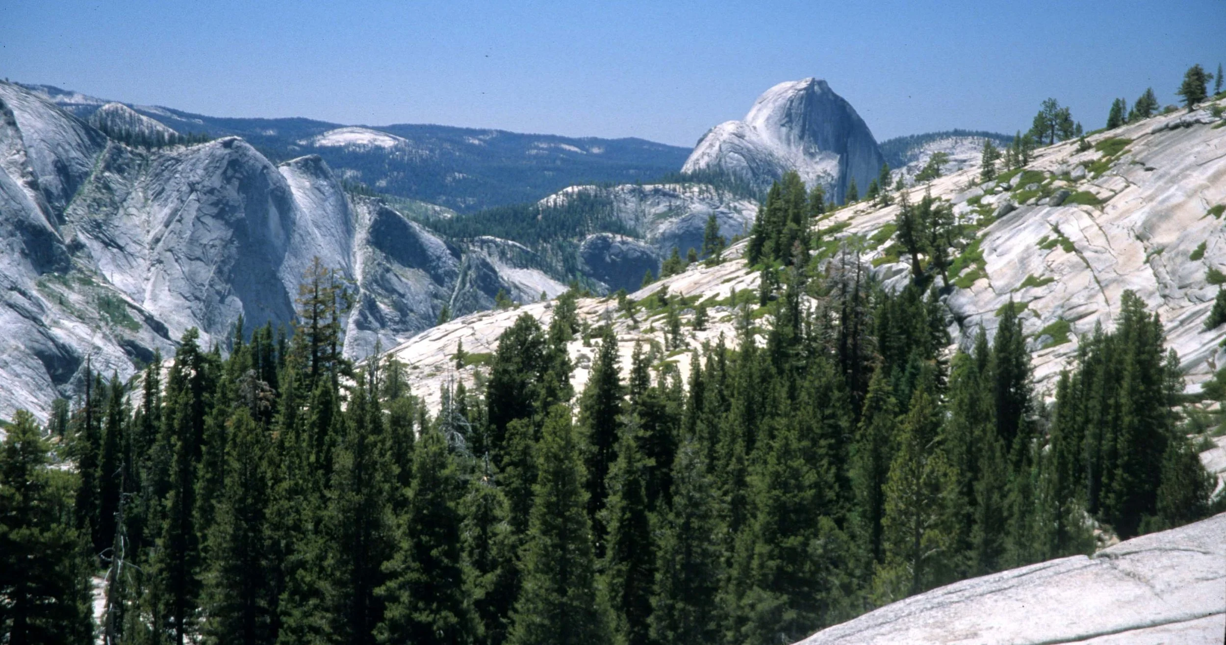 CALIFORNIA - YOSEMITE NP  (9).jpg