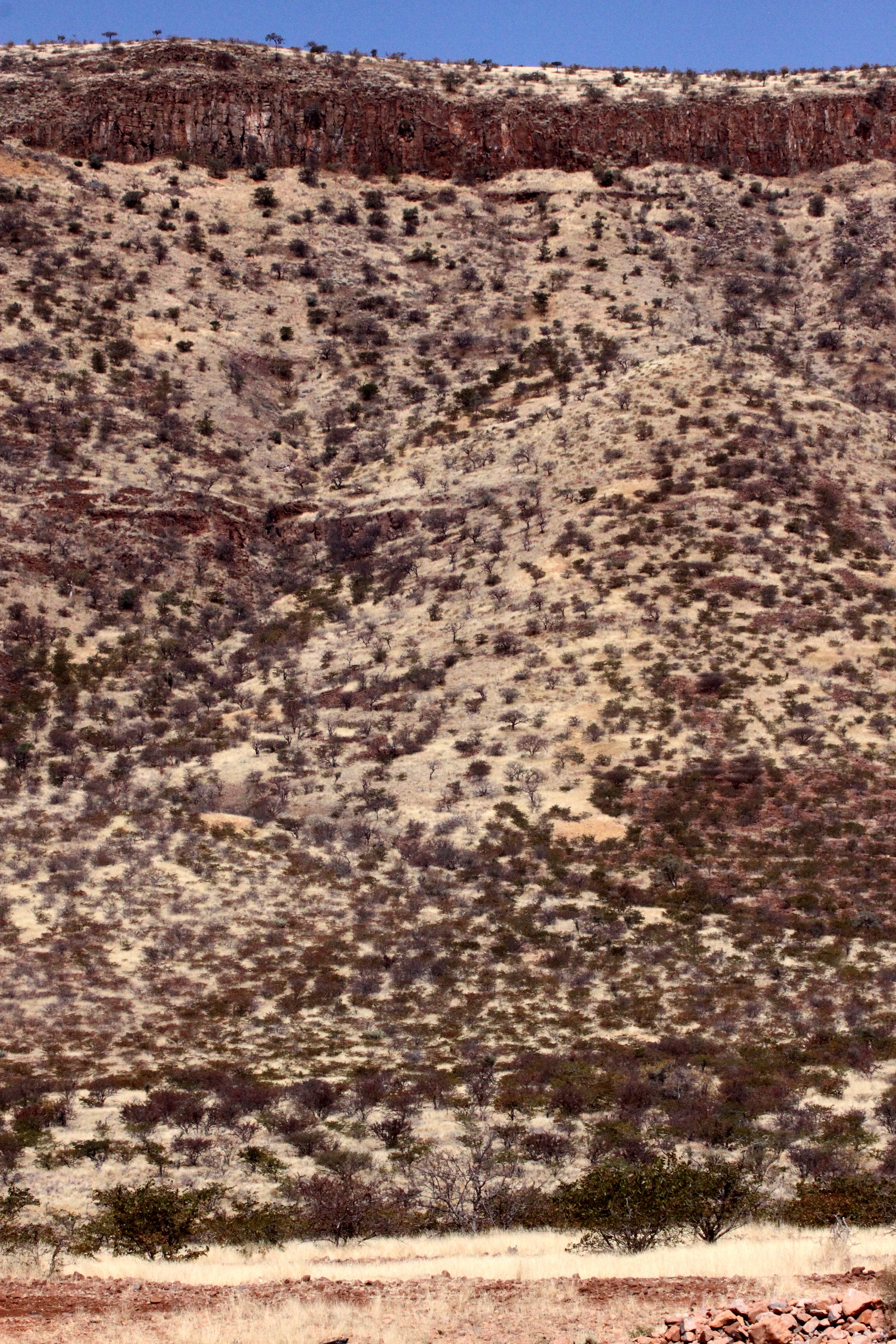 NAMIBIA - DAMARALAND - SCENERY.JPG