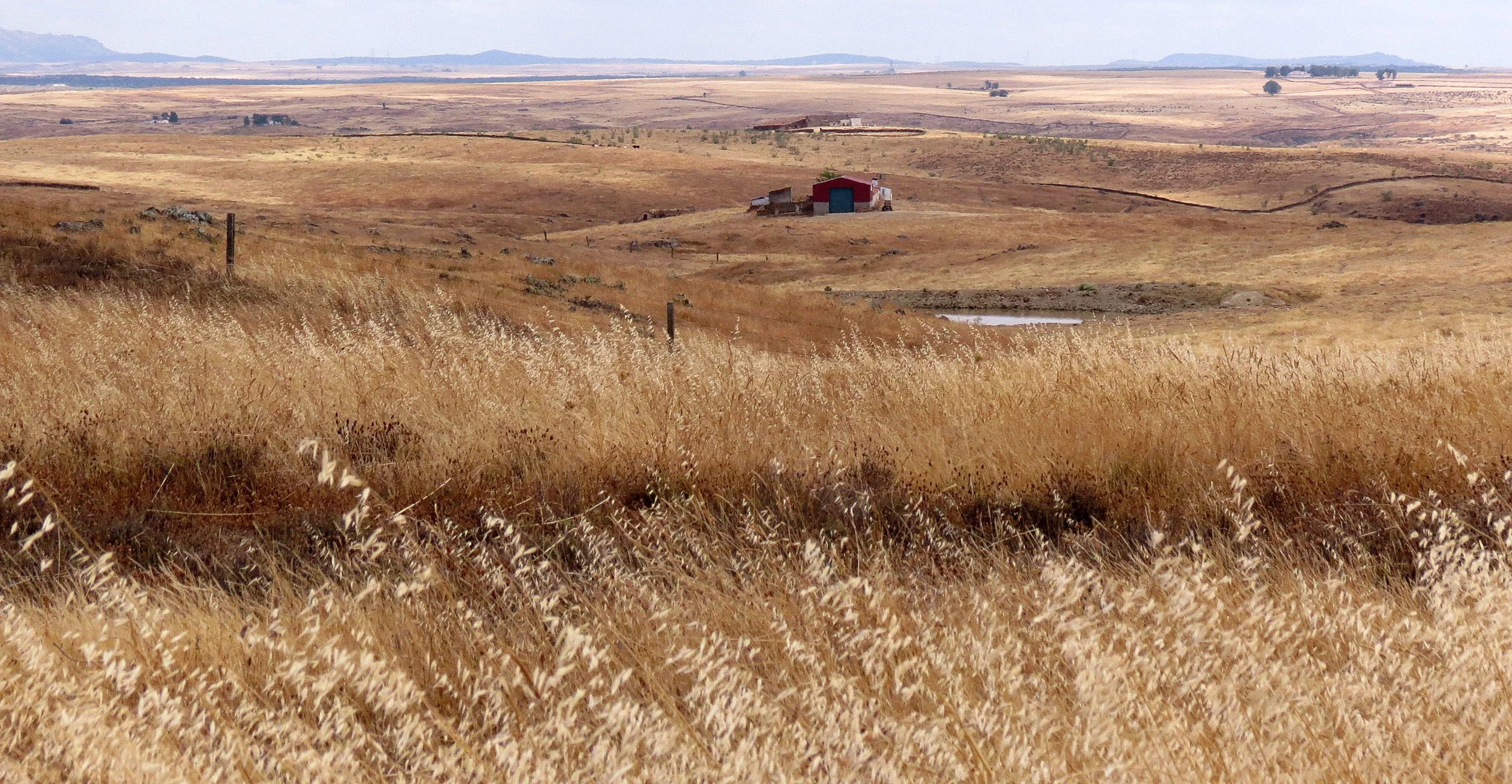 SIERRA DE GREDOS NATIONAL PARK AND AREA SPAIN (3).JPG