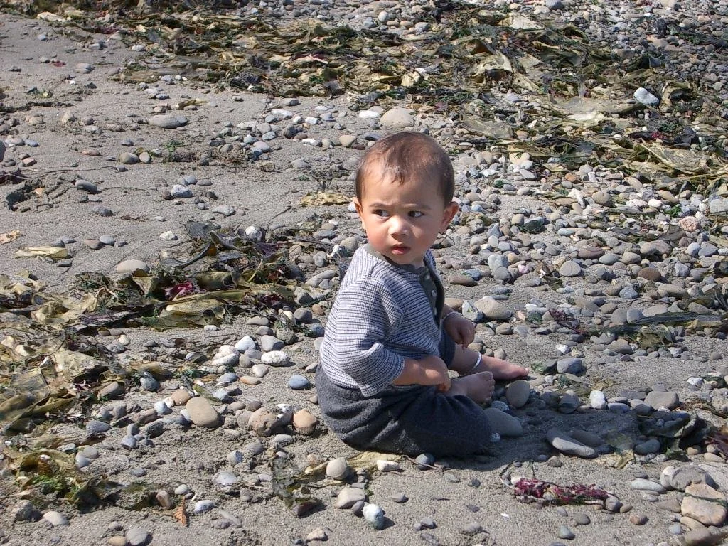 2003-8-31 LAKE FARM BEACH (8).JPG