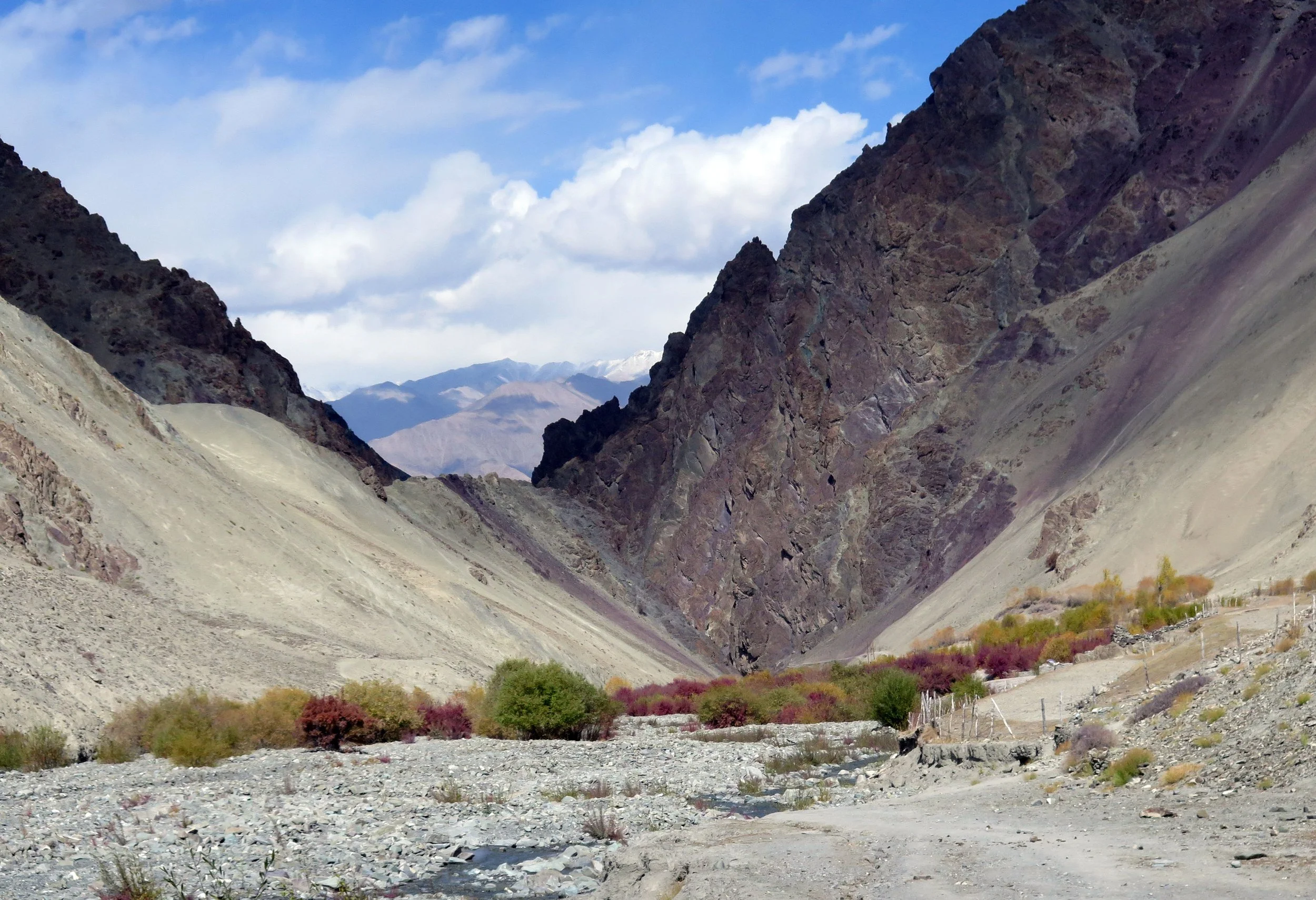 HEMIS NATIONAL PARK - LADAKH INDIA - JAMMU & KASHMIR NEAR RUMBAK VILLAGE (583).JPG