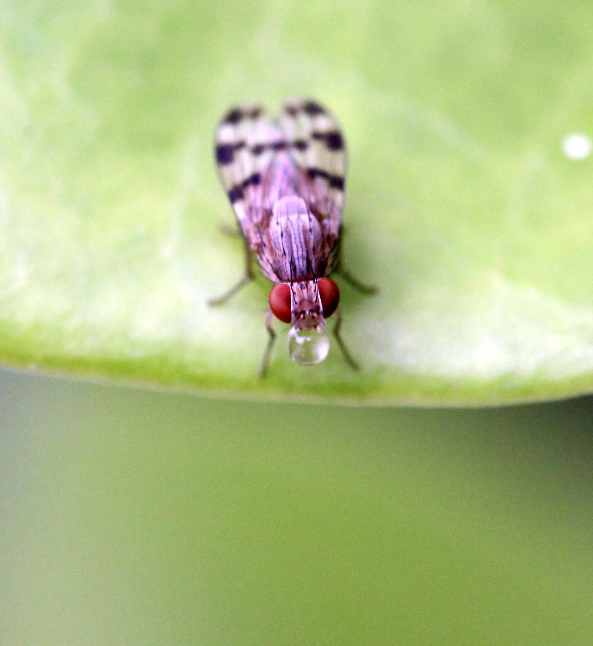 NAKHON & KRABI-LANTA - OCTOBER BREAK 2013 (70).JPG