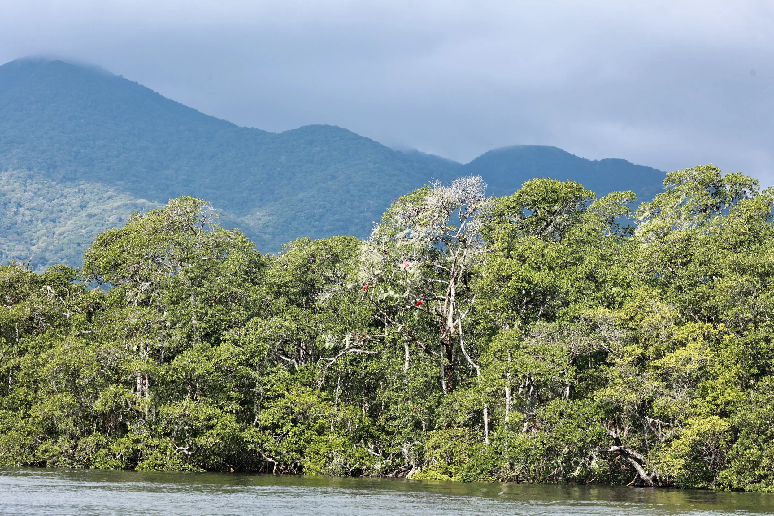 Superagüi National Park