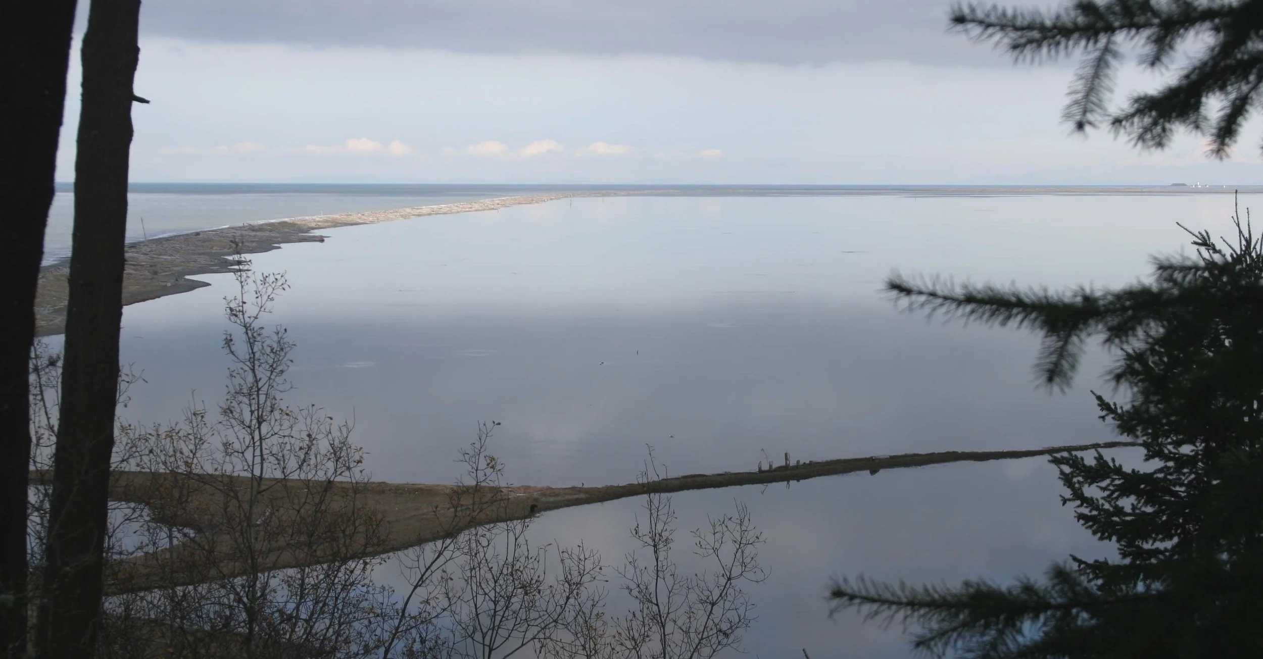 DUNGENESS SPIT 2.jpg