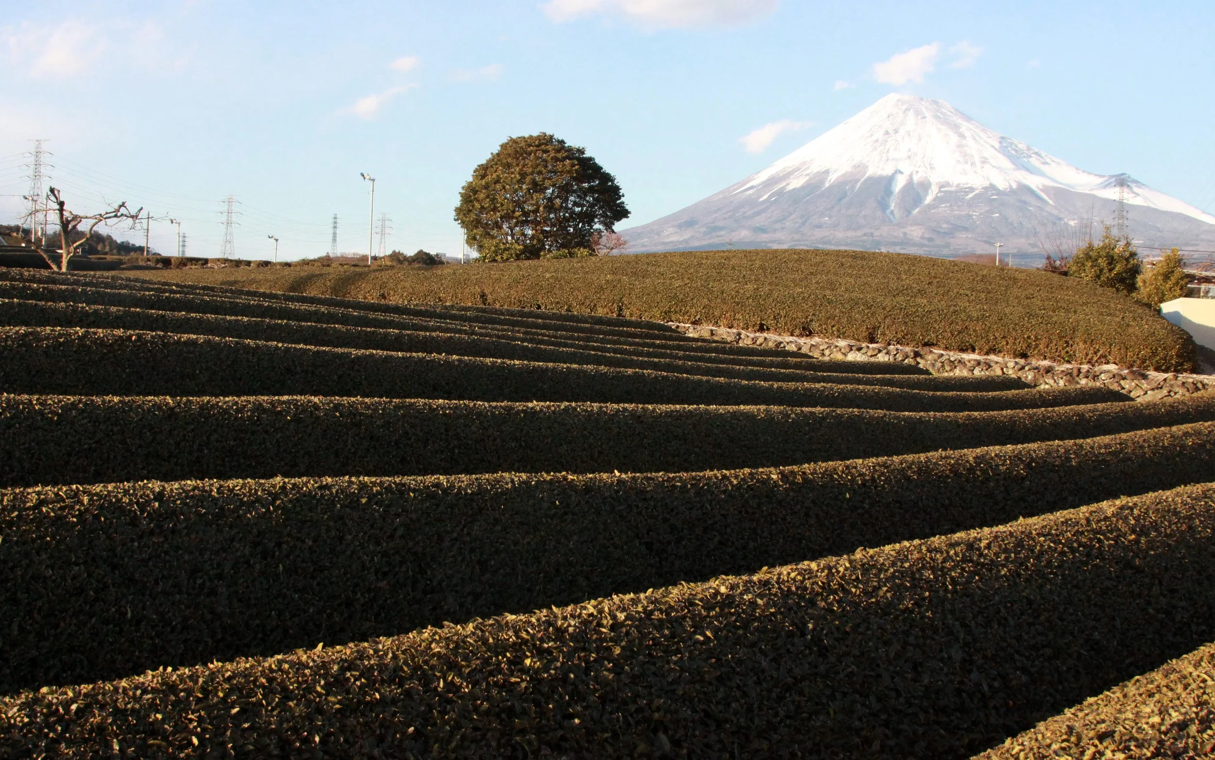 MOUNT FUJY - AS SEEN FROM FUJI CITY JAPAN (7).JPG