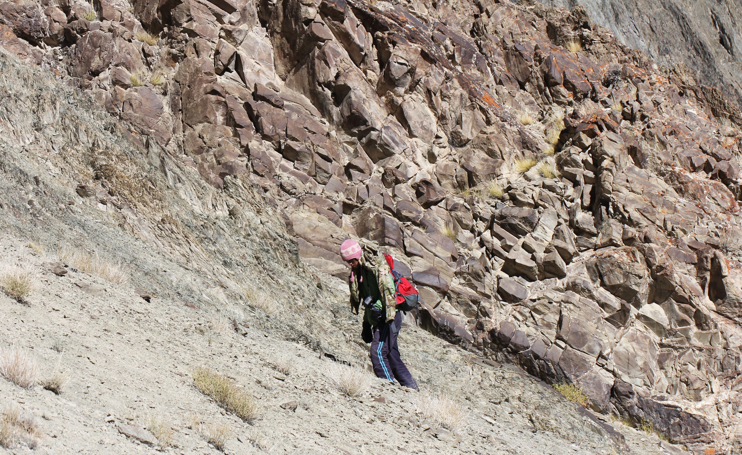 HEMIS NATIONAL PARK - LADAKH INDIA - JAMMU & KASHMIR NEAR RUMBAK VILLAGE (307).JPG