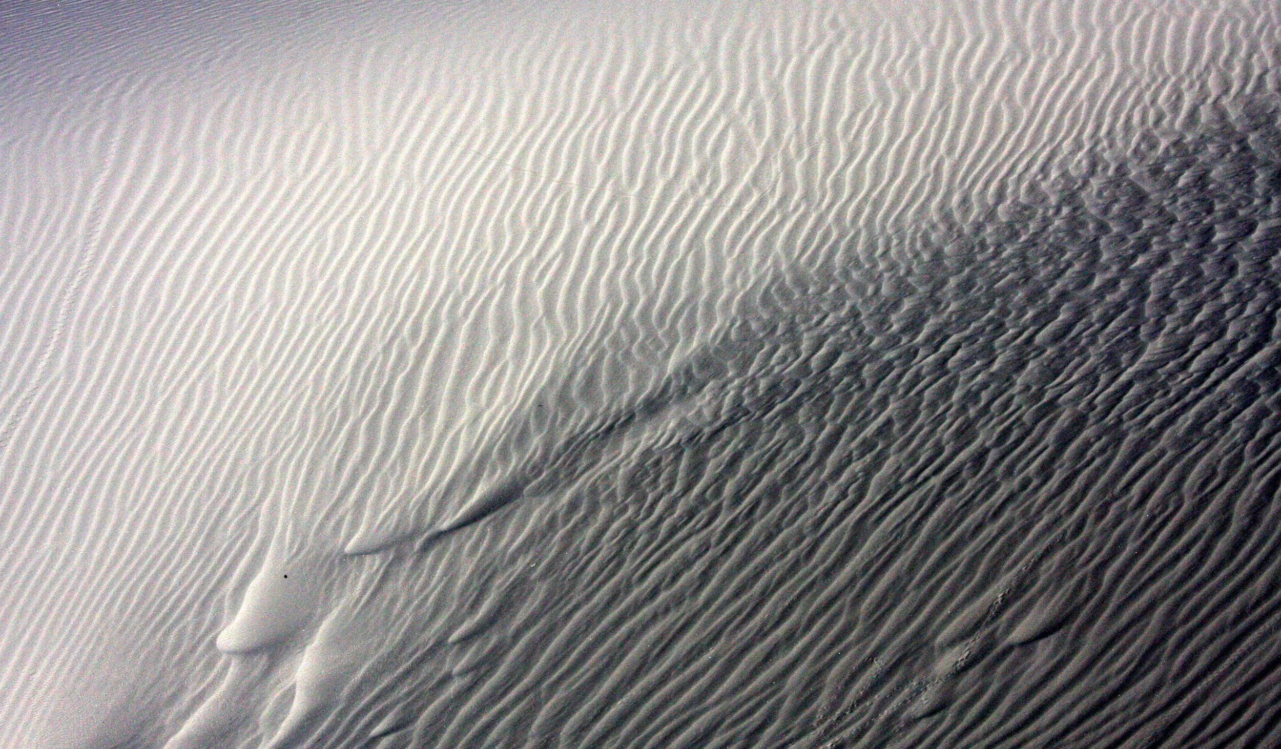 WHITE SANDS NATIONAL MONUMENT - JUNE 2010 (3).JPG