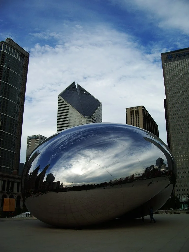 2004-11-6  CHICAGO FOR BIO TEACHERS CONFERENCE (4).JPG