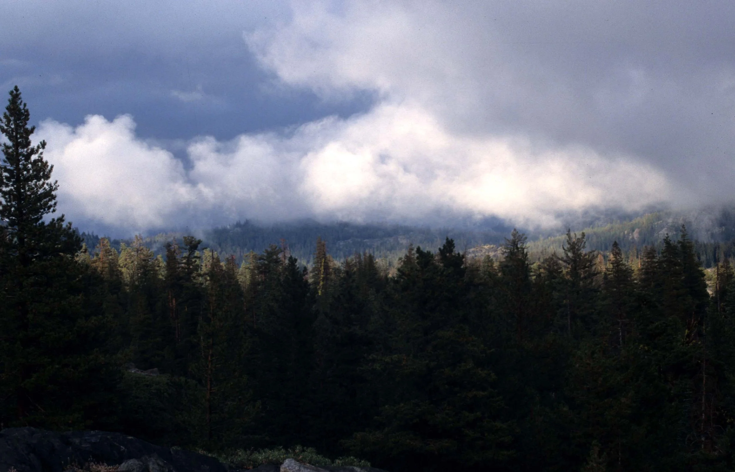 CALIFORNIA - SIERRA NEVADA MOUNTAINS (10).jpg