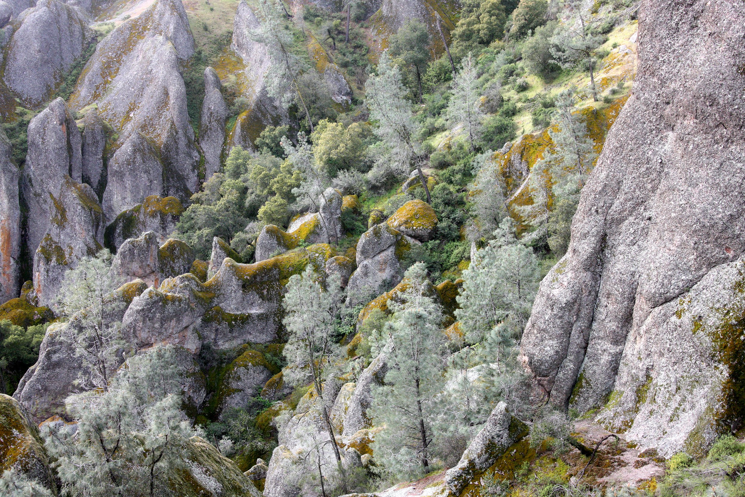 PINNACLES NATIONAL MONUMENT CALIFORNIA - VIEWS OF THE REGION (32).JPG