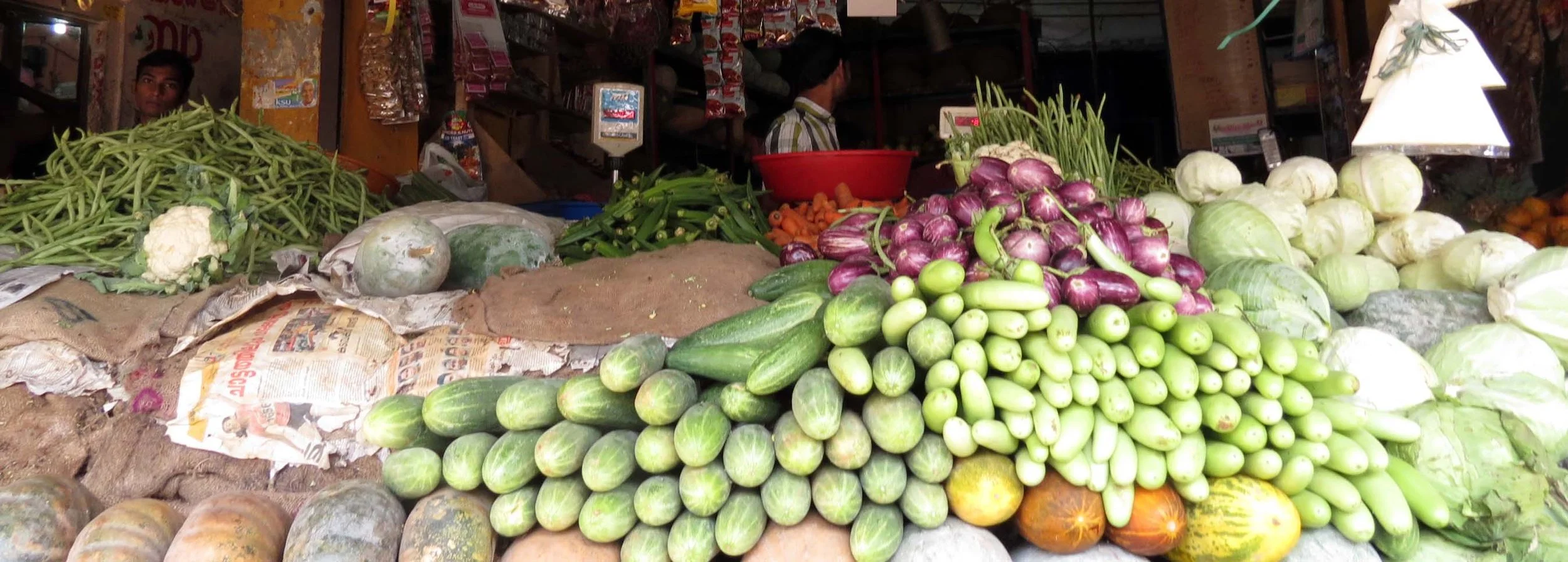 MUNNAR KERALA INDIA (16).JPG