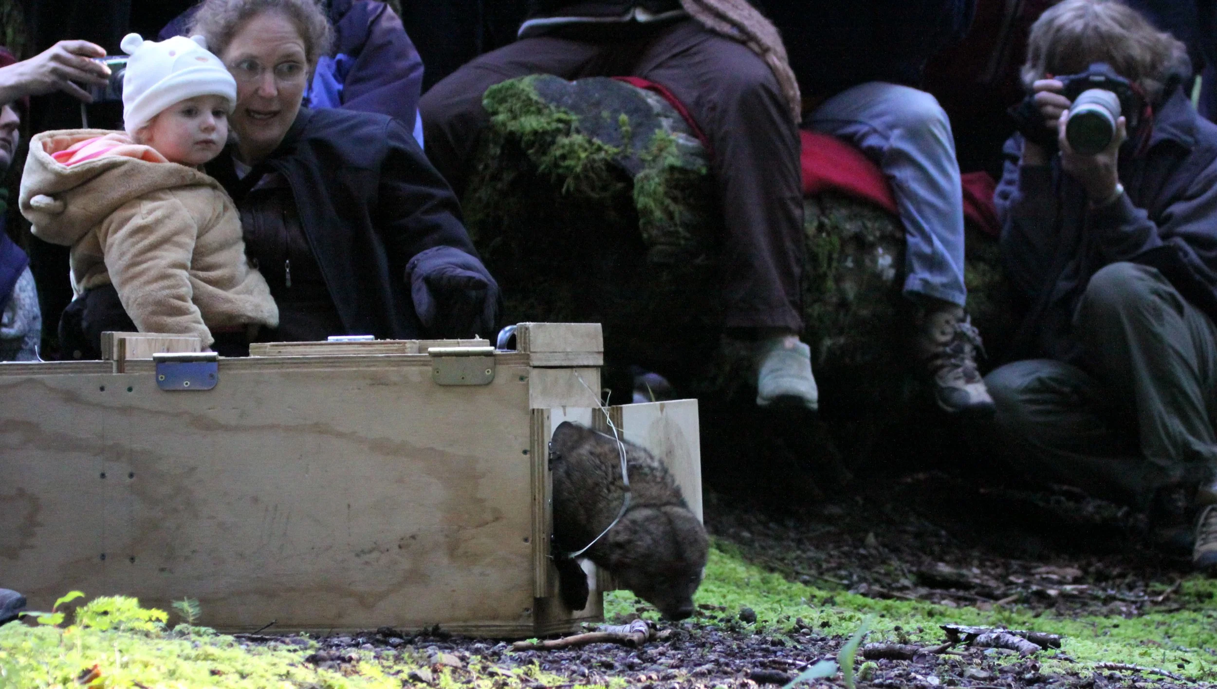 MUSTELID - FISHER - FINAL RELEASE ON 2-20-2010 (11).JPG