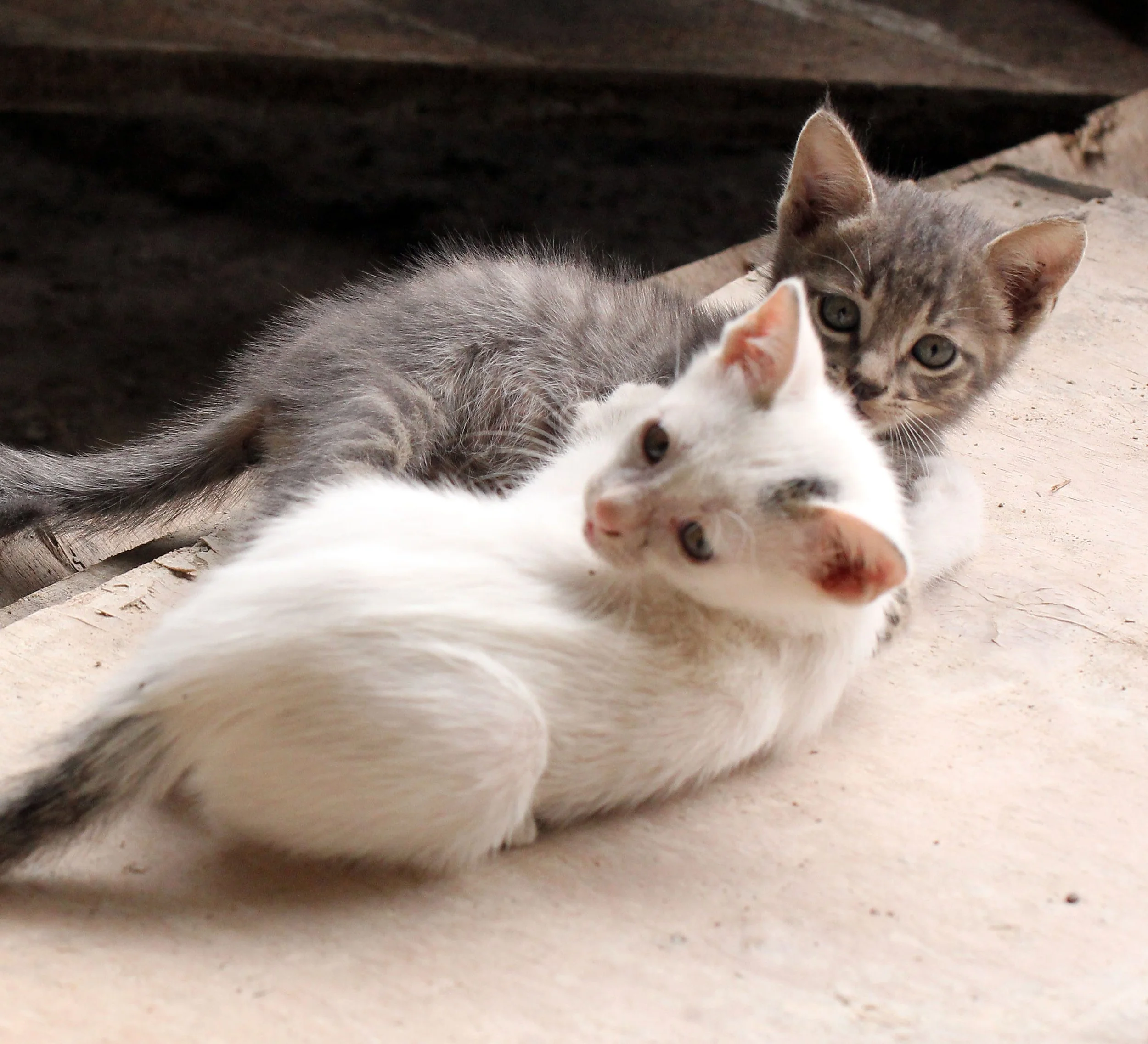 2015 Koh Lanta October Break Trip  (270).JPG