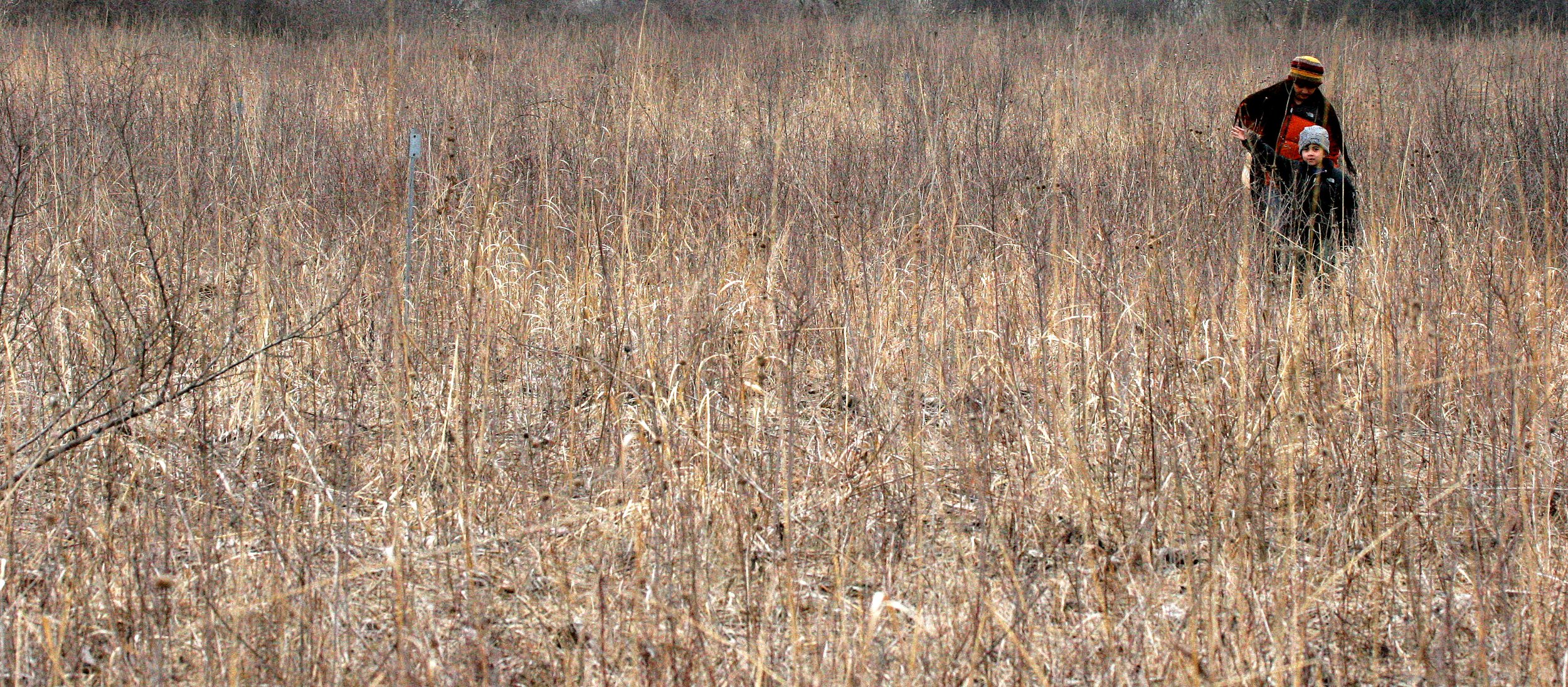 2008-3-30 CHICAGO SPRING TRIP - WEST CHICAGO PRAIRIE (3).JPG
