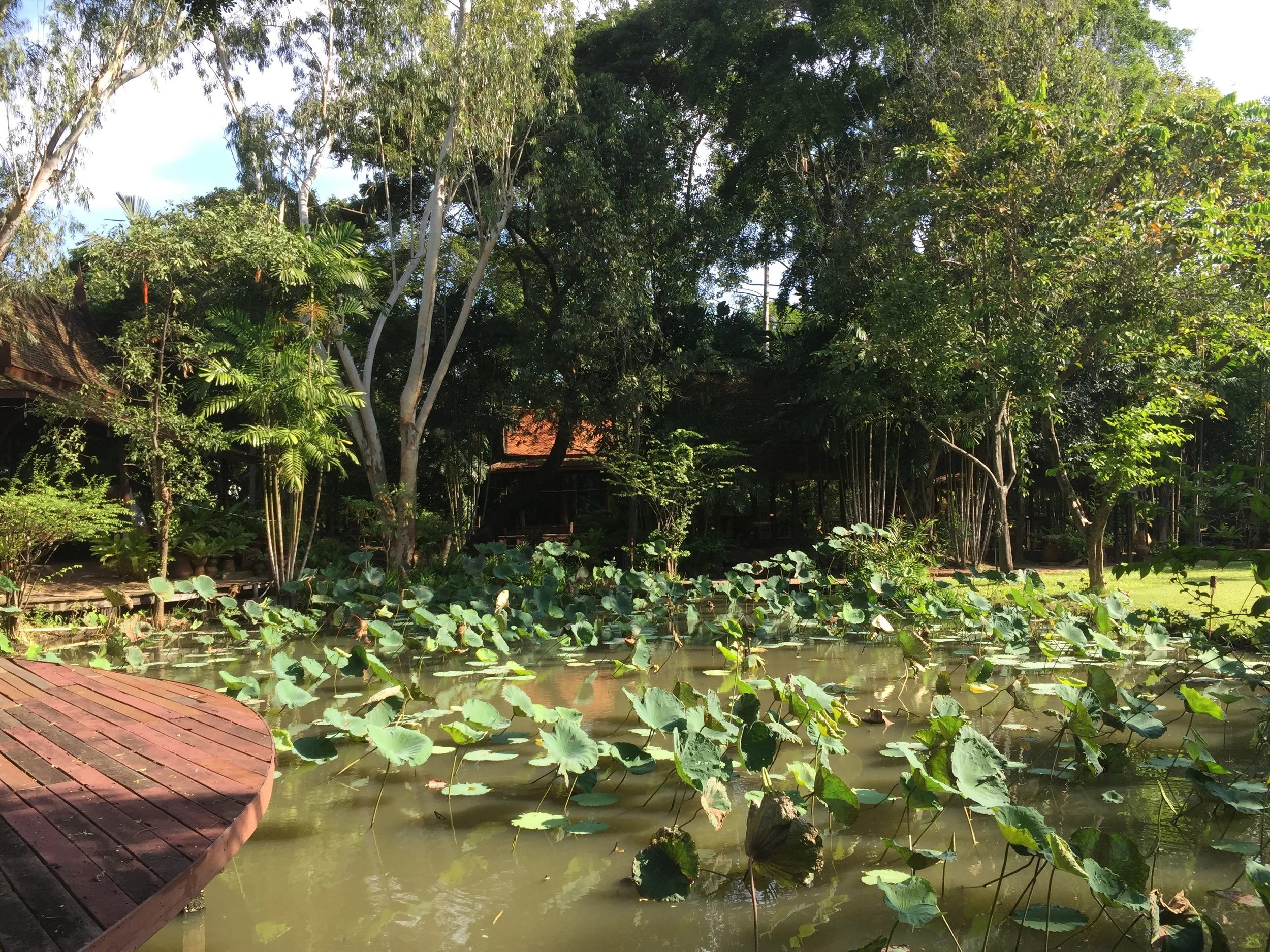 BKK - RIDE TO SUAN THIP PAKKRET FALL 2015 (18).JPG