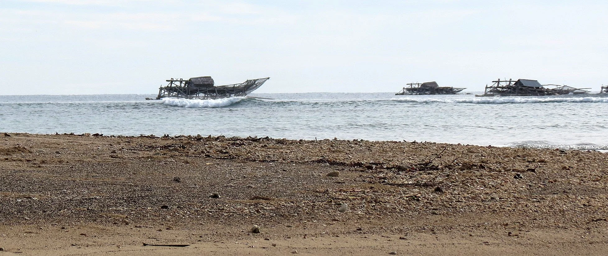 TANGKOKO NATIONAL PARK, SULAWESI INDONESIA  (20).JPG