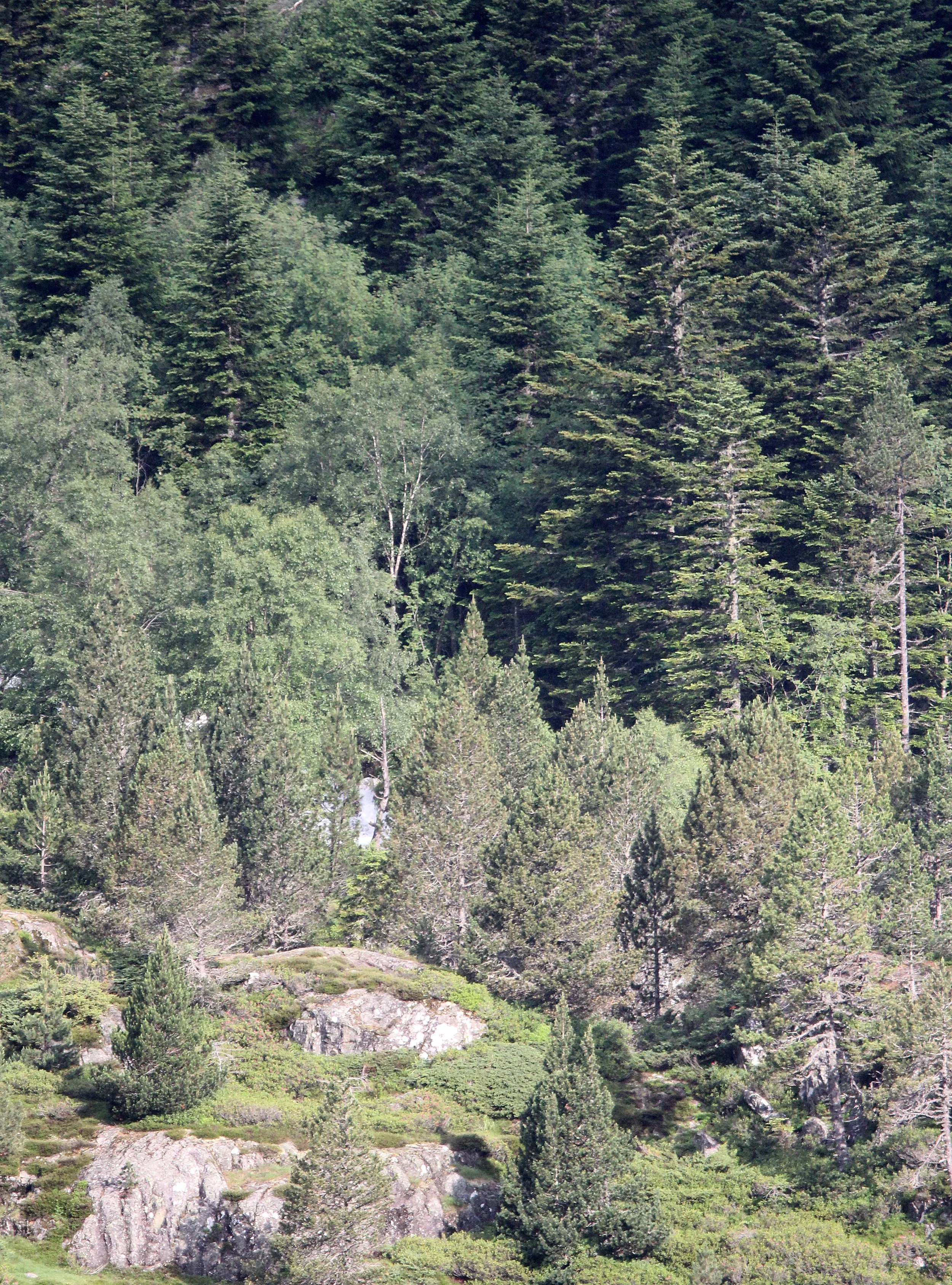 ARRENS MARSOUS PYRENEES NATIONAL PARK FRANCE (9).JPG
