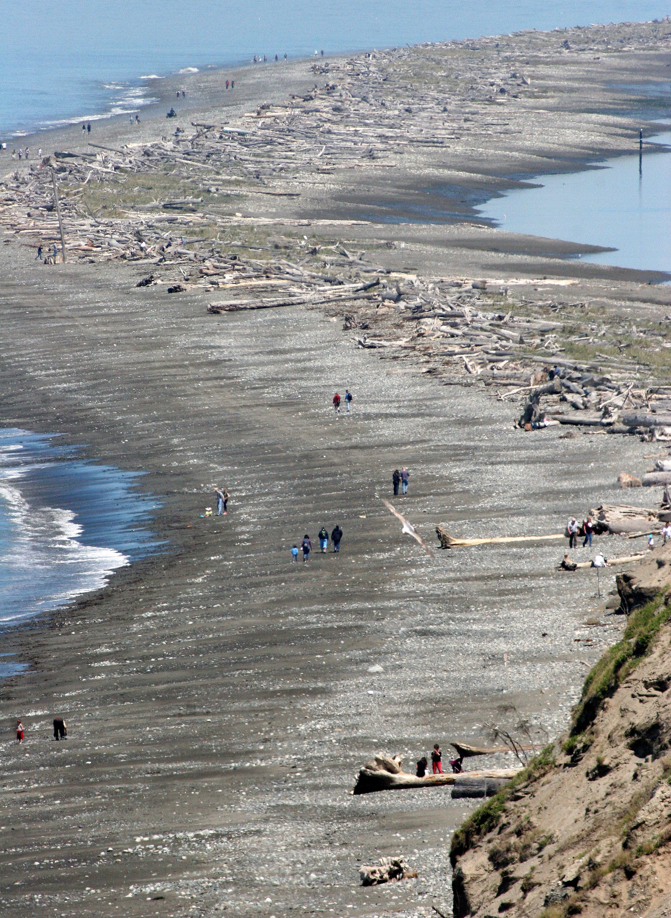 DUNGENESS SPIT (3).JPG